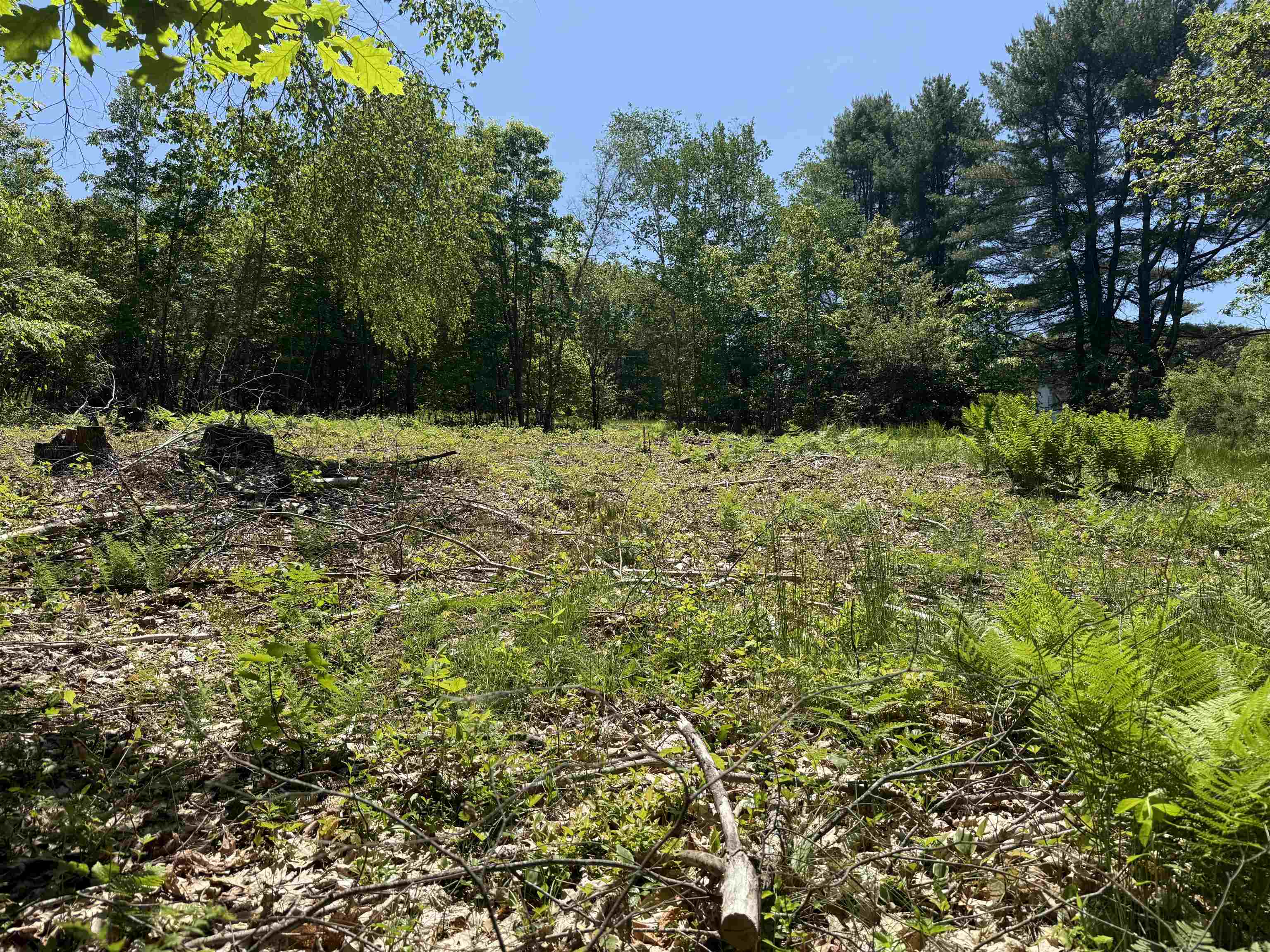 Homes for sale in Alton, NH | Map 5 Lot 14 3 Stockbridge Corner Rd, Alton, NH 03809 | MLS# 5044694