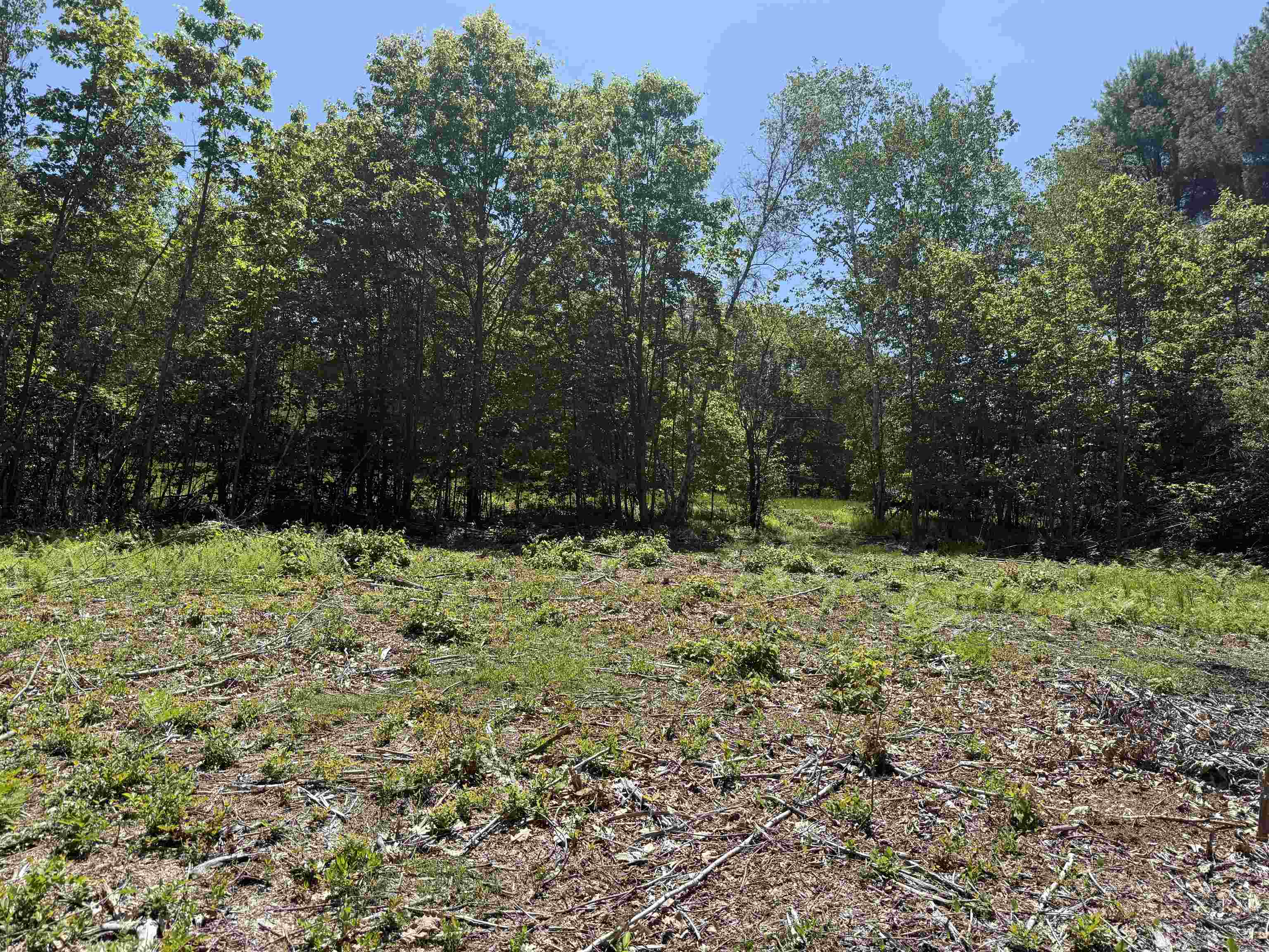 Homes for sale in Alton, NH | Map 5 Lot 14-3 Stockbridge Corner Rd, Alton, NH 03809 | MLS# 5044694