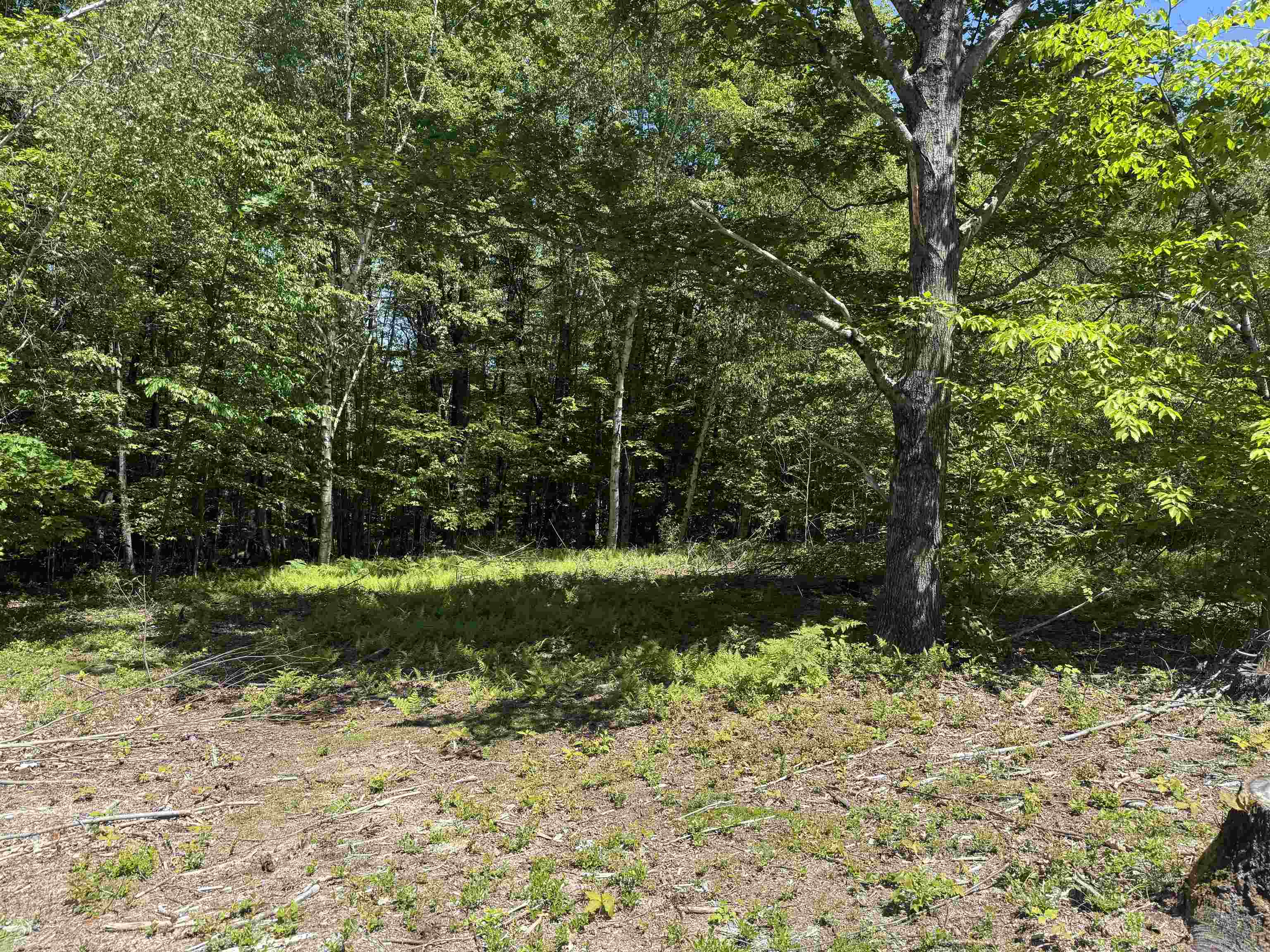 Homes for sale in Alton, NH | Map 5 Lot 14-3 Stockbridge Corner Rd, Alton, NH 03809 | MLS# 5044694