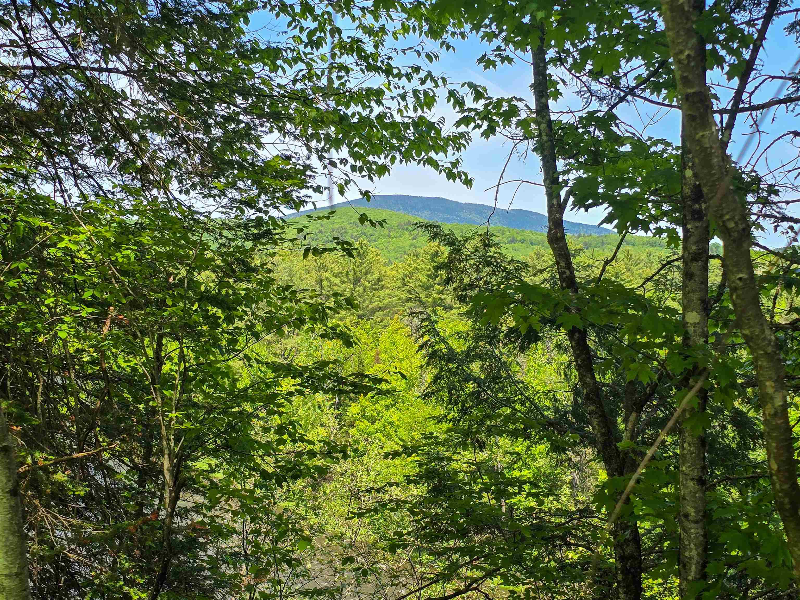 Homes for sale in Bloomfield, VT | 150 Spur Rd, Bloomfield, VT 05905 | MLS# 5044855