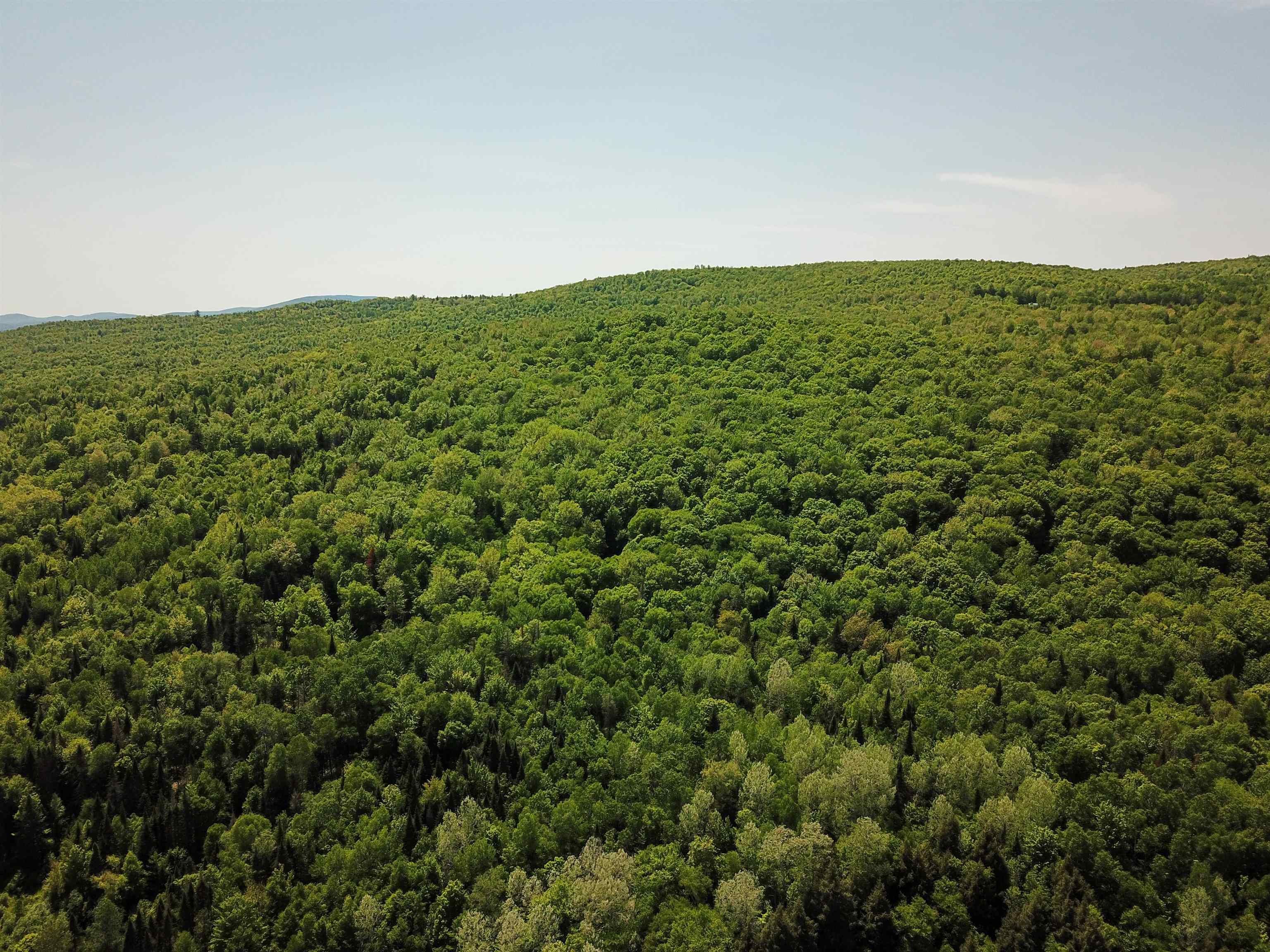 Homes for sale in Bloomfield, VT | 150 Spur Rd, Bloomfield, VT 05905 | MLS# 5044855