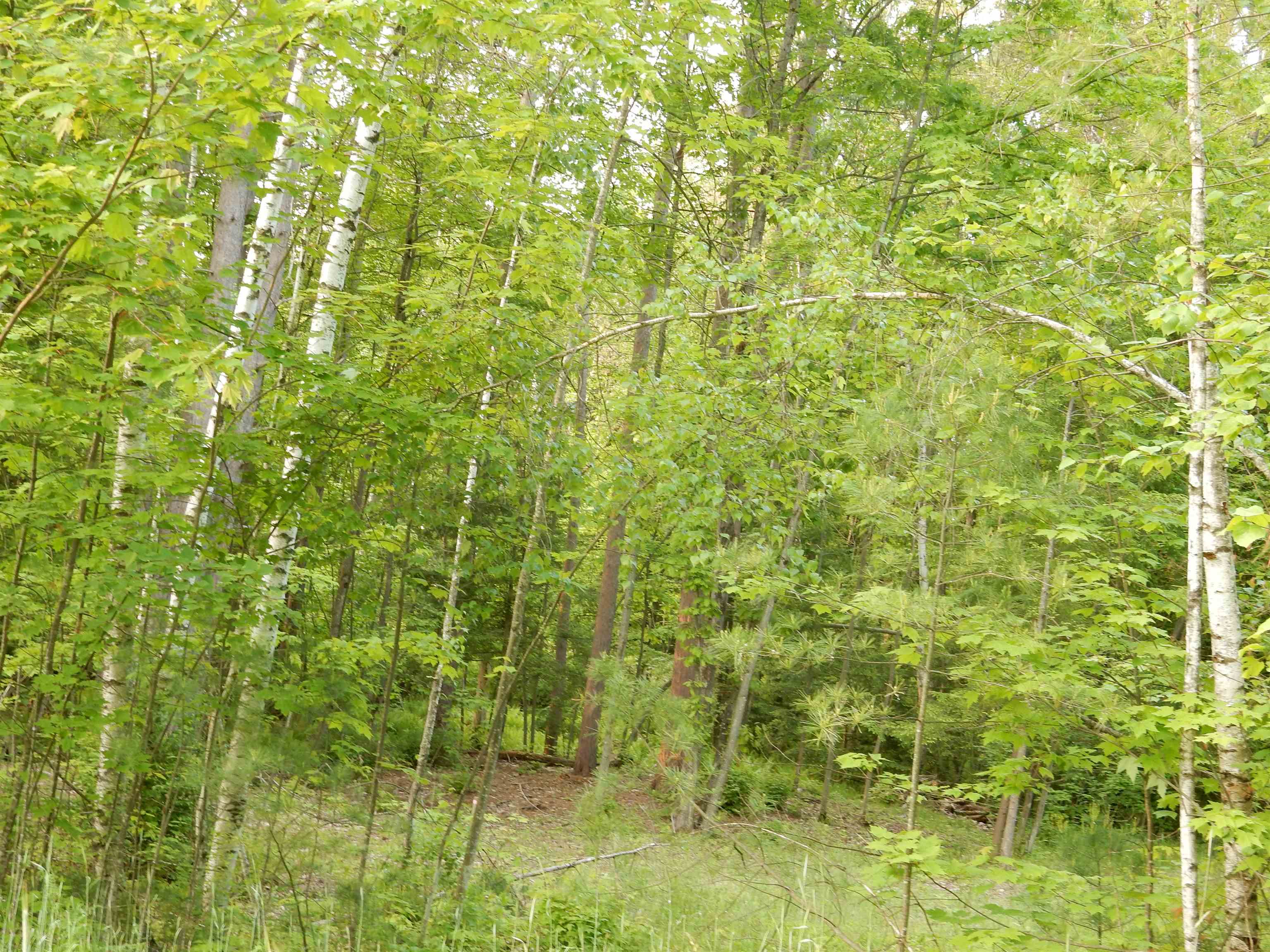 Homes for sale in Newport City, VT | 00 Pine St, Newport City, VT 05855 | MLS# 5044936