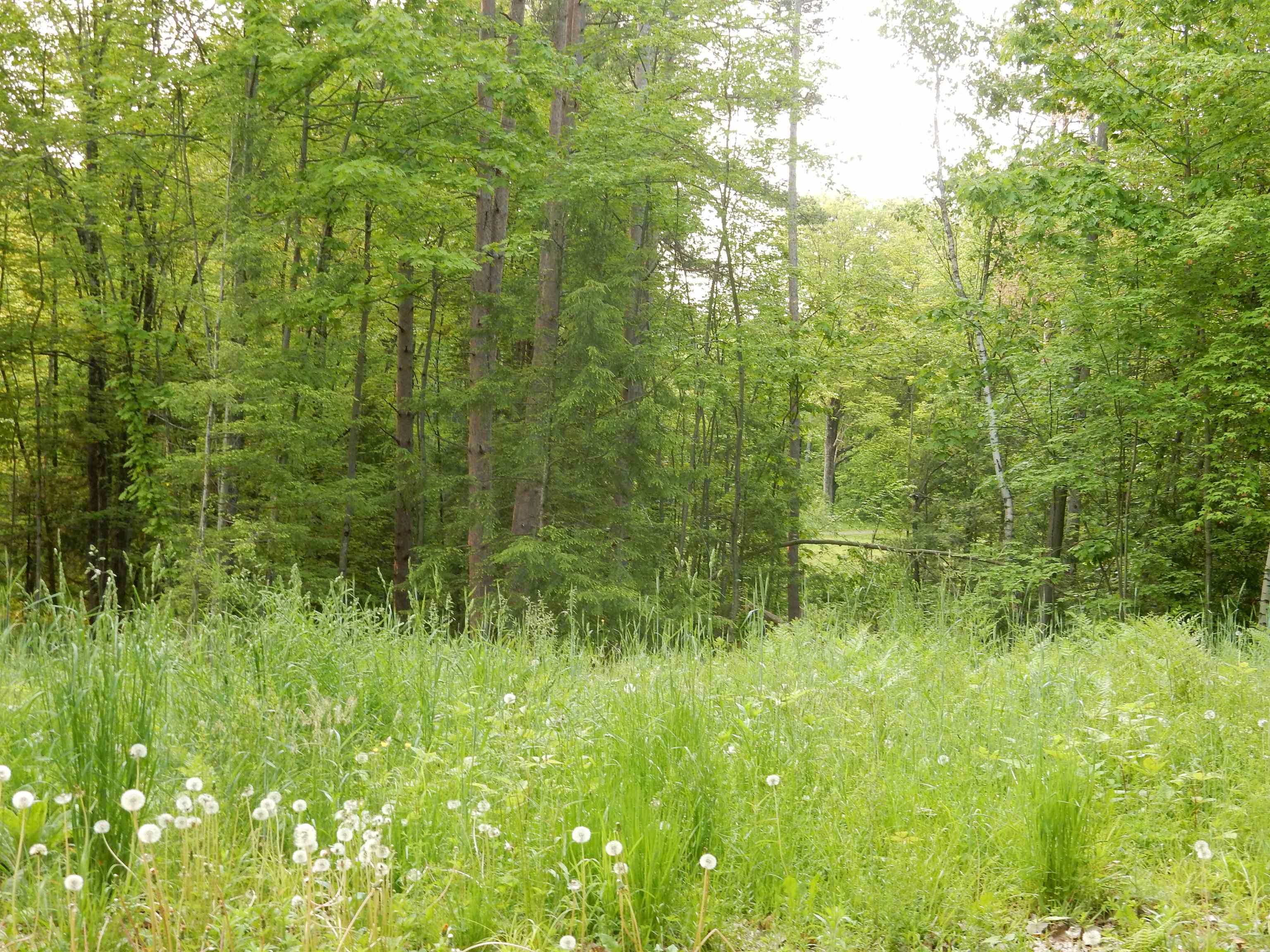 Homes for sale in Newport City, VT | 00 Pine St, Newport City, VT 05855 | MLS# 5044936