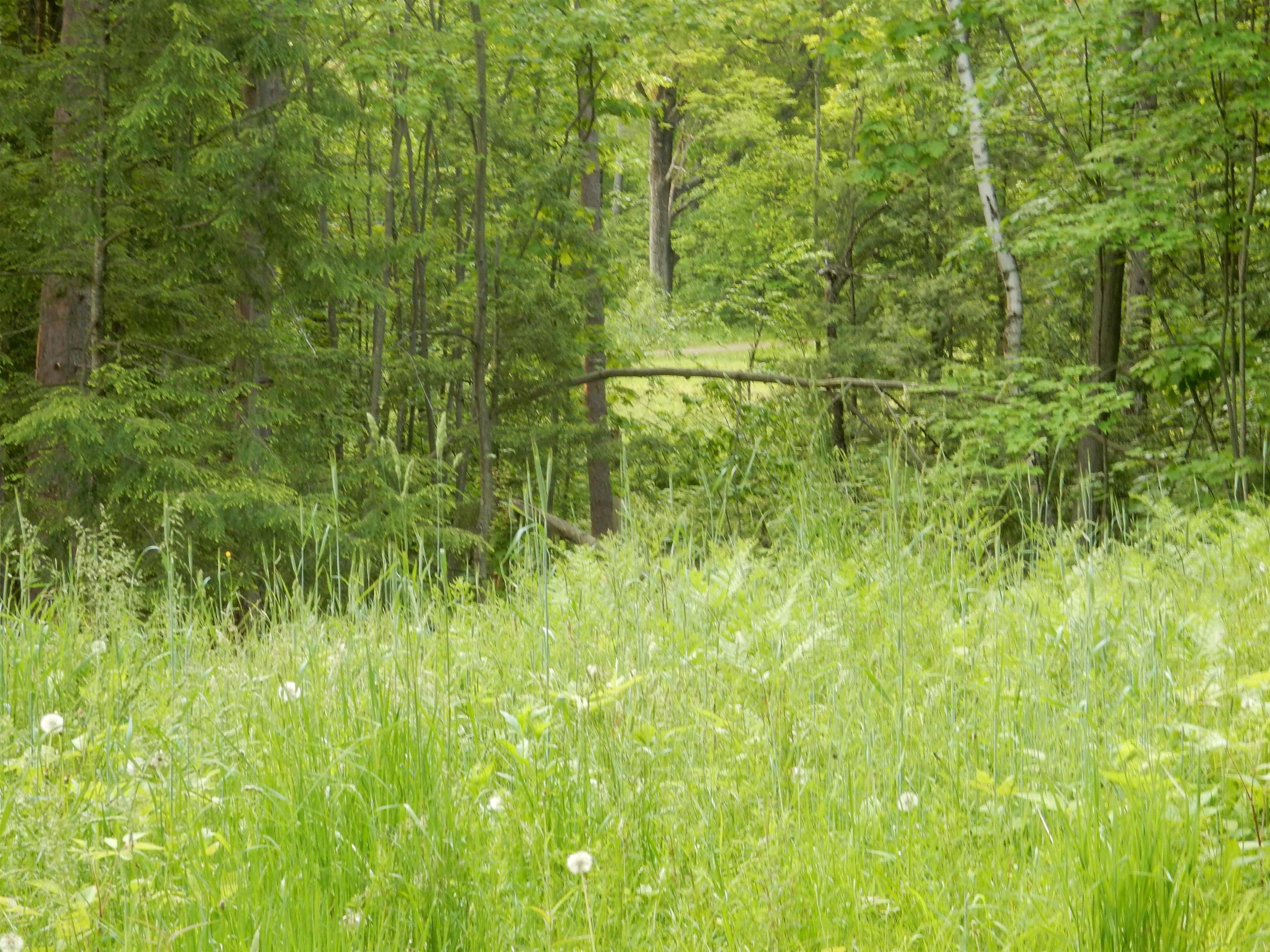 Homes for sale in Newport City, VT | 00 Pine St, Newport City, VT 05855 | MLS# 5044936