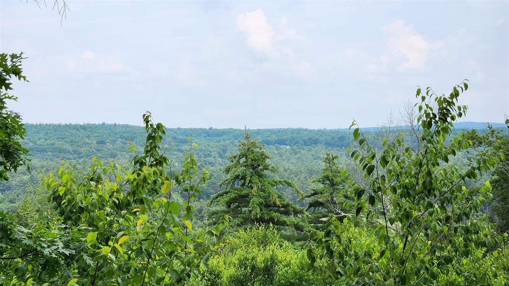 Homes for sale in New Durham, NH | 176 Valley Rd, New Durham, NH 03855 | MLS# 5045006