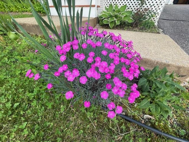 MLS #5045058 image #20