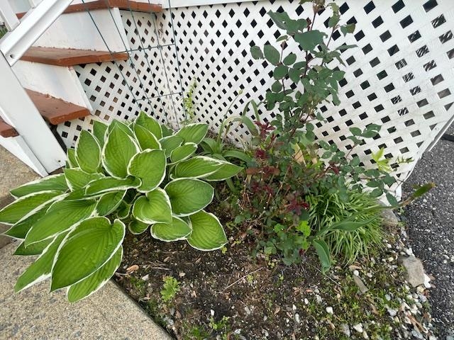 MLS #5045104 image #21