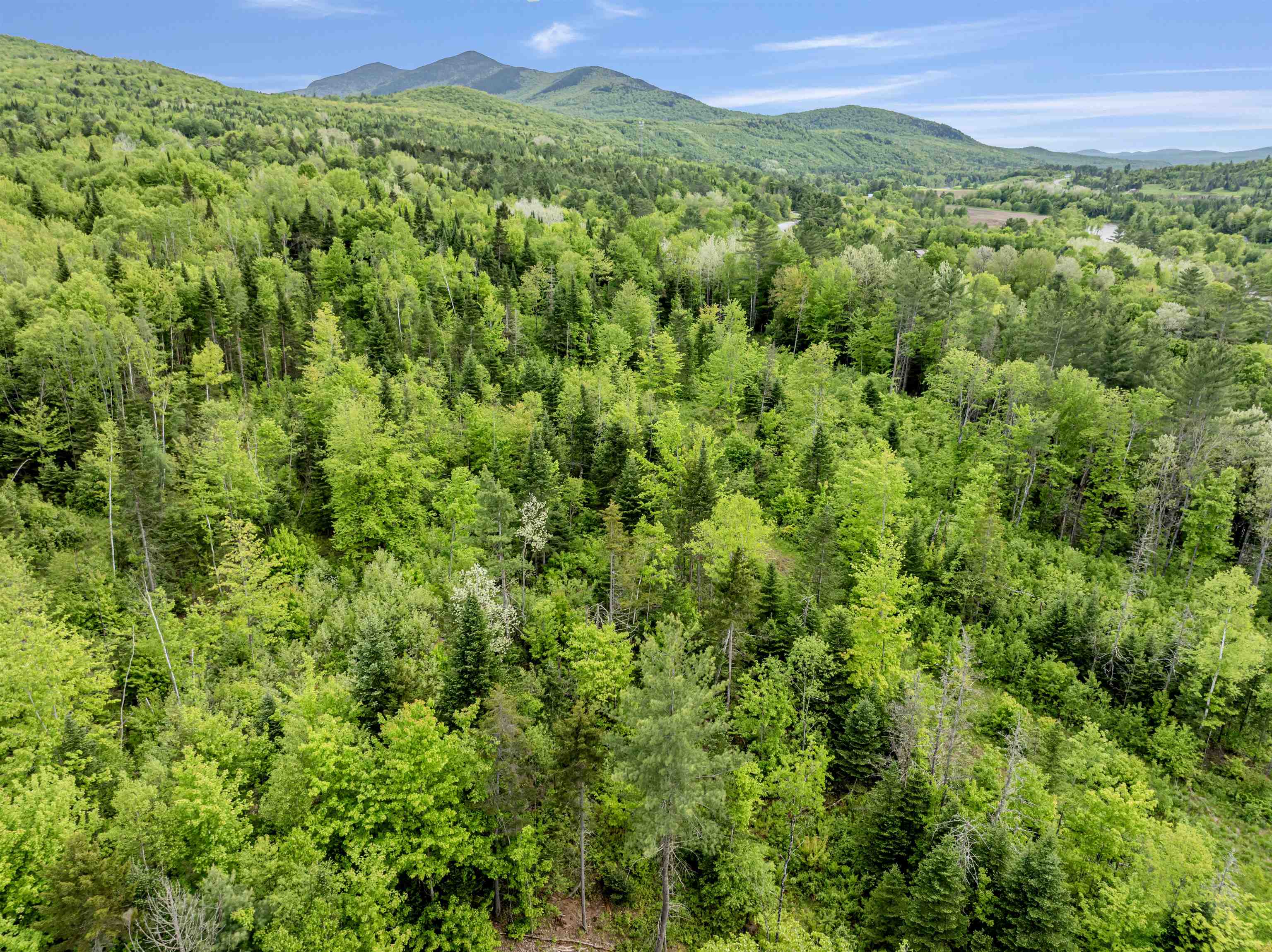 Homes for sale in Columbia, NH | Lot 5 Off Us Route 3, Columbia, NH 03576 | MLS# 5045143