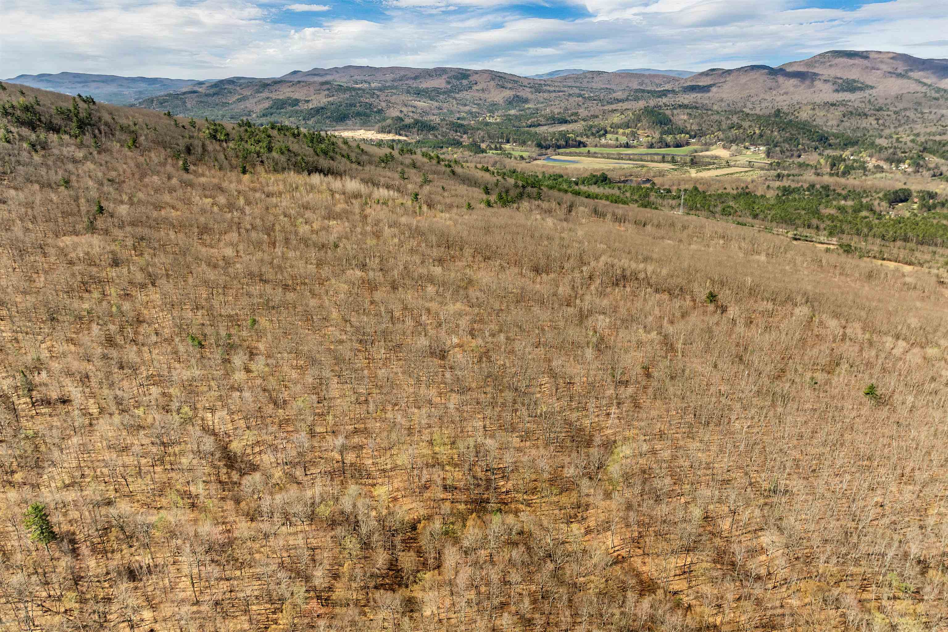 MLS #5045153 image #6