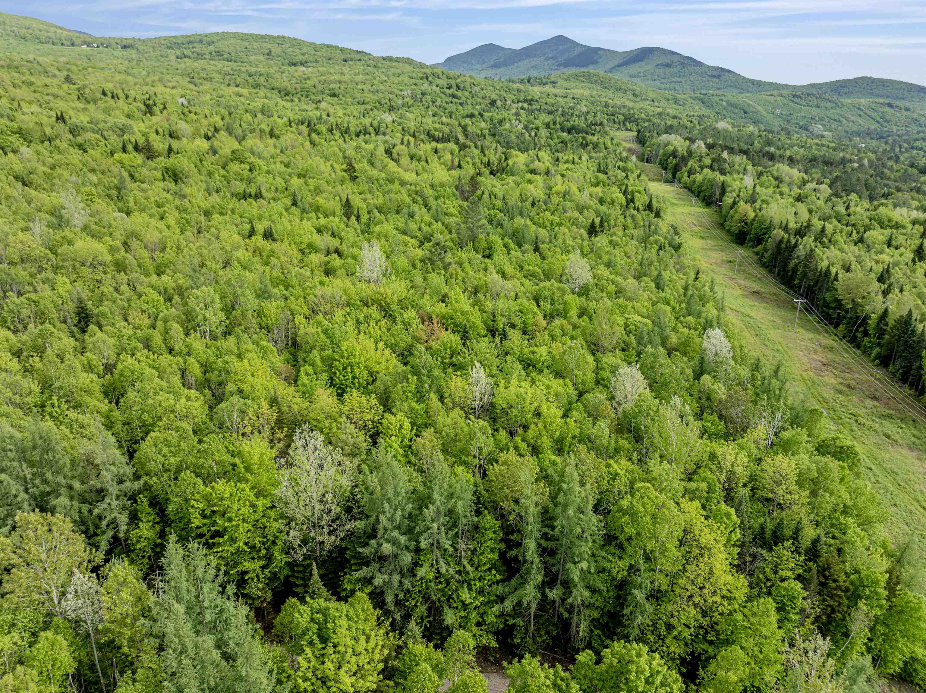 Homes for sale in Columbia, NH | Lot 8 Off Us Route 3, Columbia, NH 03576 | MLS# 5045160