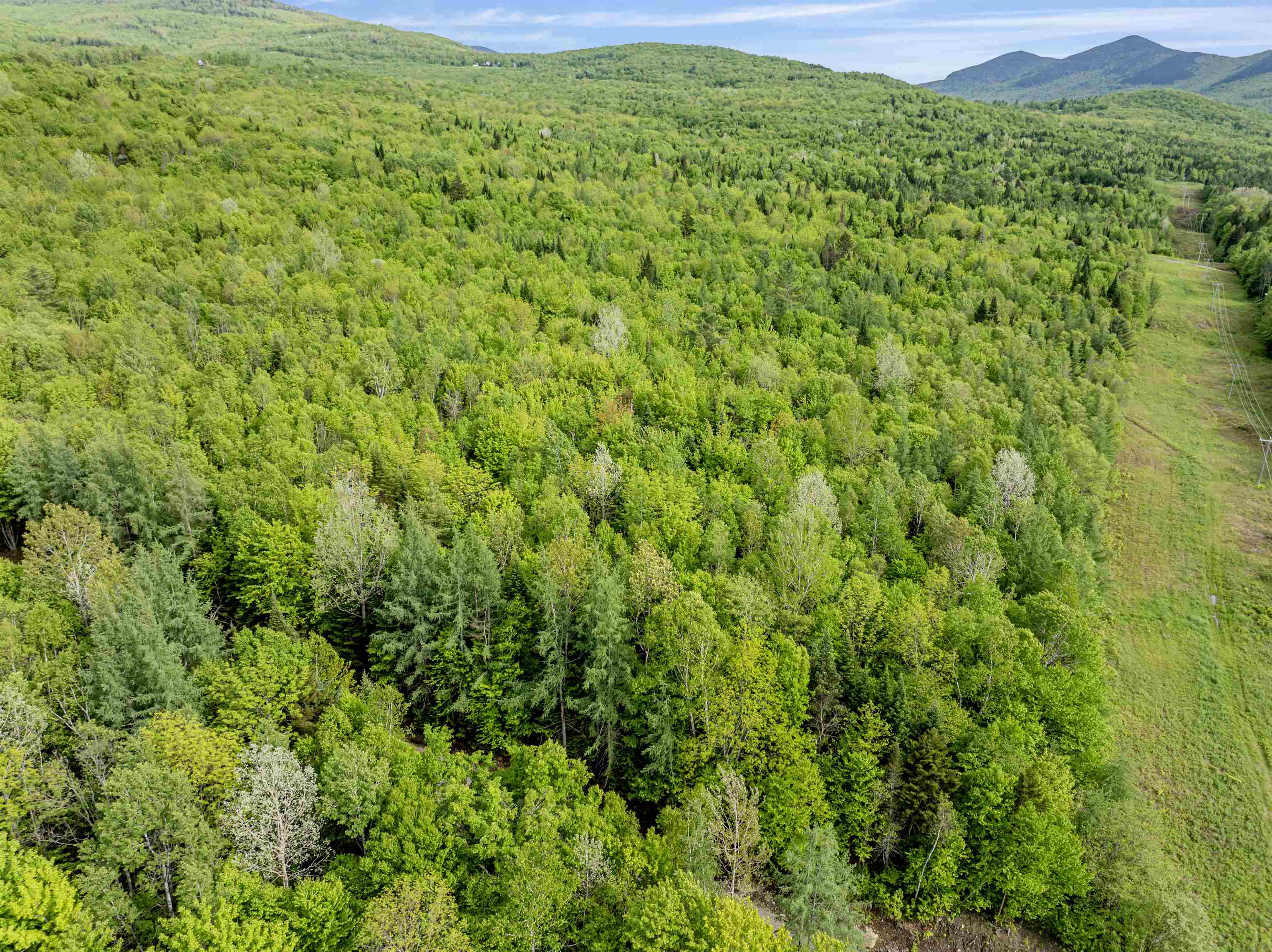 Homes for sale in Columbia, NH | Lot 8 Off Us Route 3, Columbia, NH 03576 | MLS# 5045160