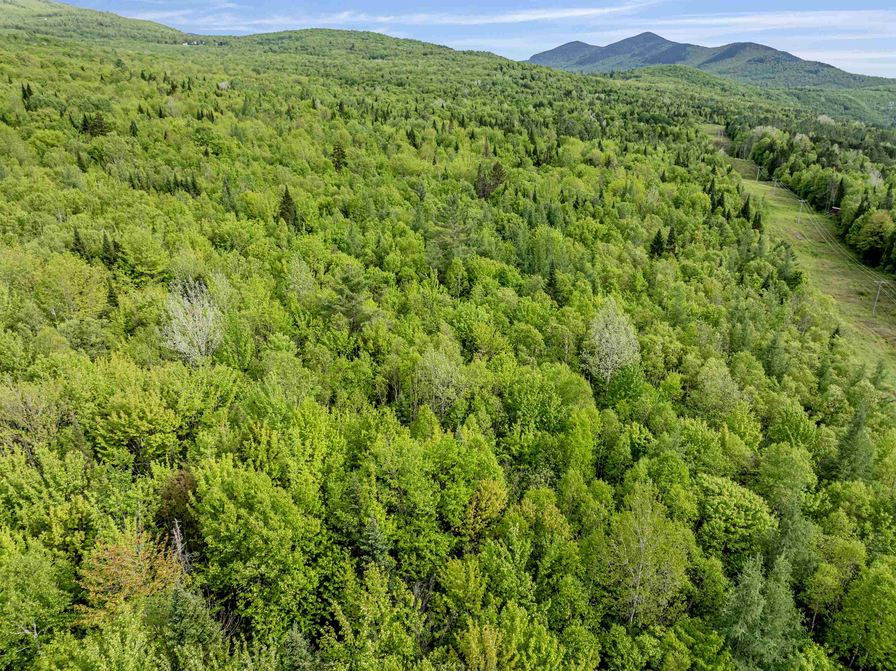 Homes for sale in Columbia, NH | Lot 8 Off Us Route 3, Columbia, NH 03576 | MLS# 5045160