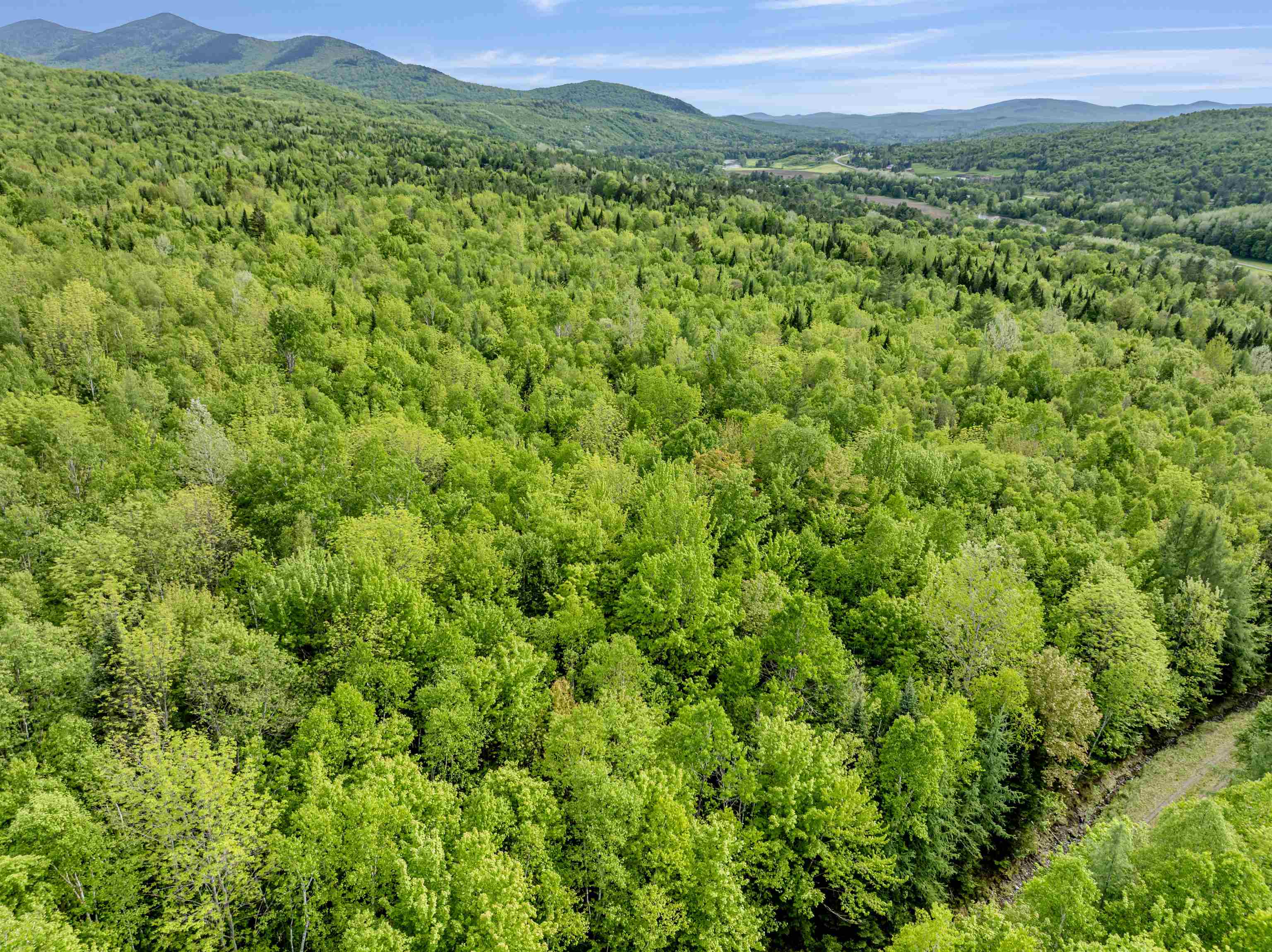 Homes for sale in Columbia, NH | Lot 9 Off Us Route 3, Columbia, NH 03576 | MLS# 5045166