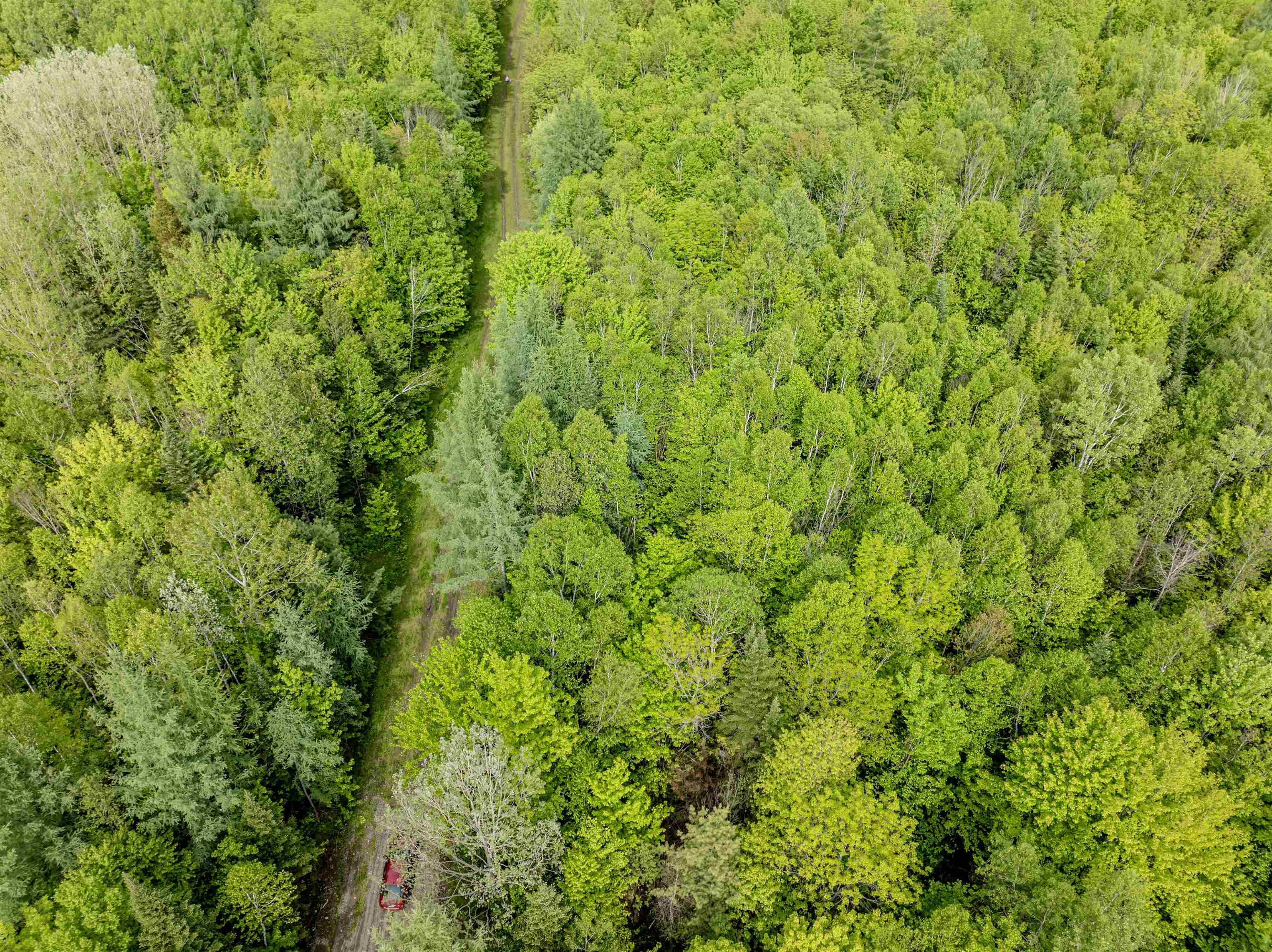 Homes for sale in Columbia, NH | Lot 9 Off Us Route 3, Columbia, NH 03576 | MLS# 5045166