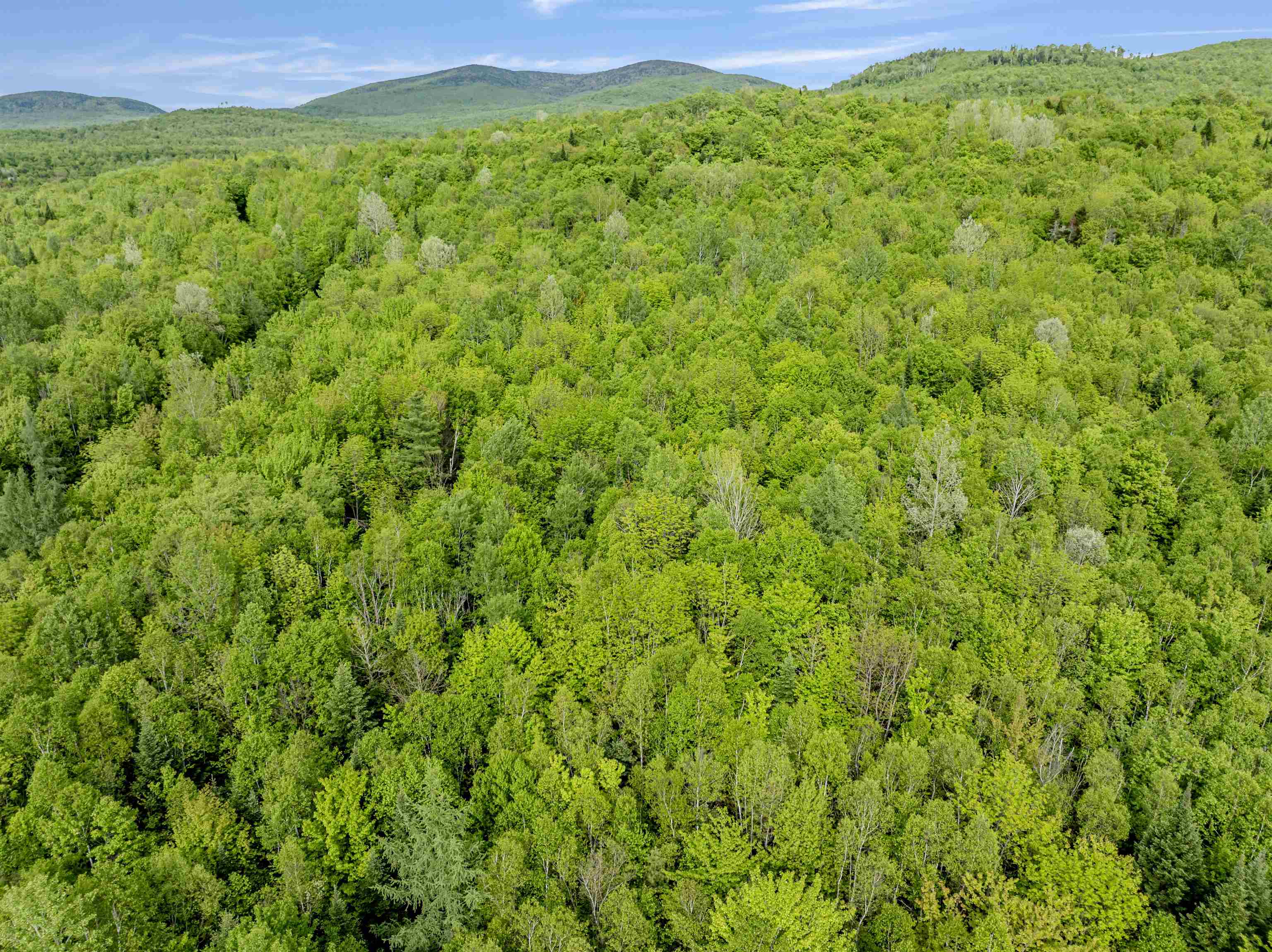 Homes for sale in Columbia, NH | Lot 9 Off Us Route 3, Columbia, NH 03576 | MLS# 5045166