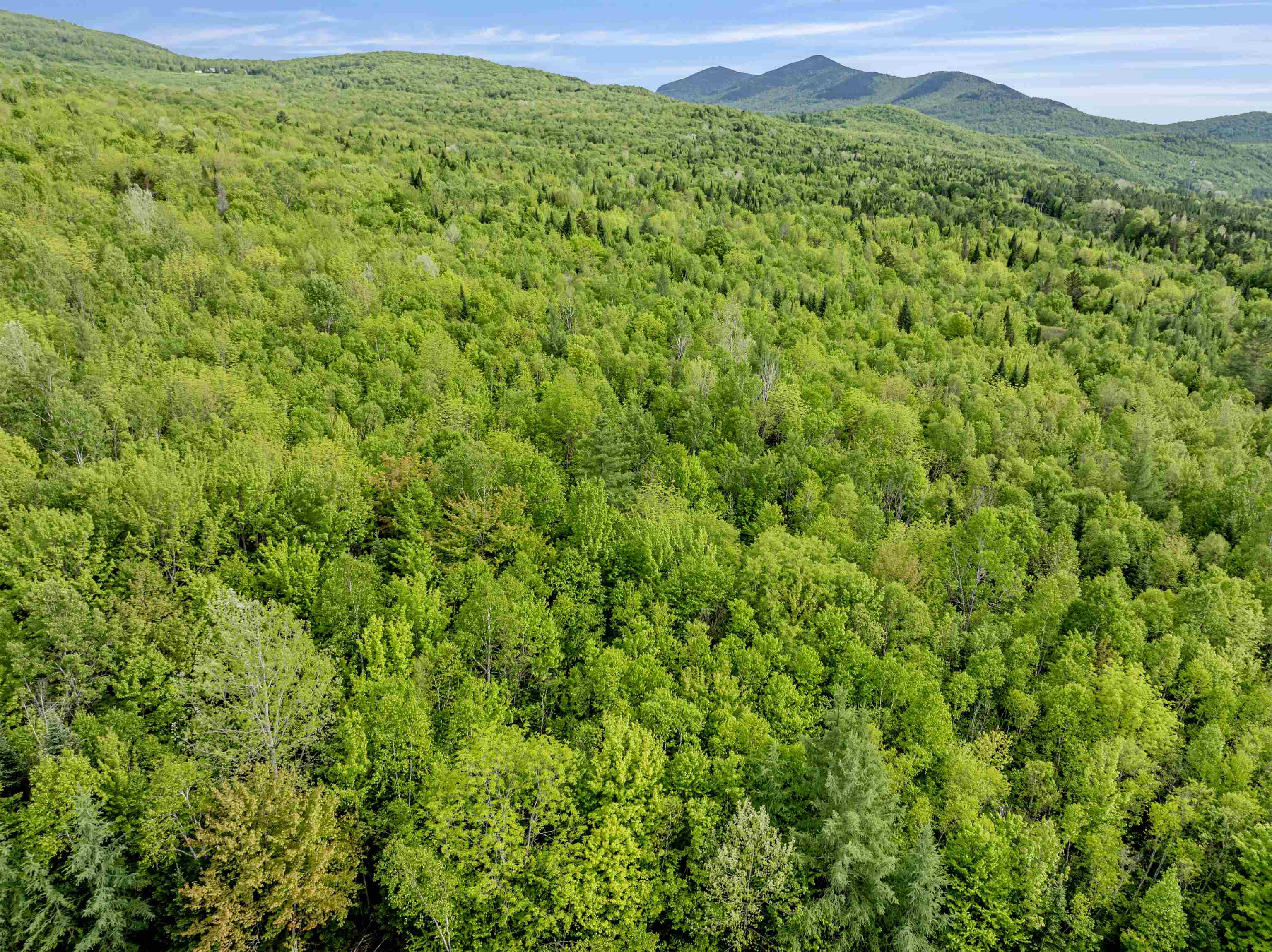 Homes for sale in Columbia, NH | Lot 9 Off Us Route 3, Columbia, NH 03576 | MLS# 5045166