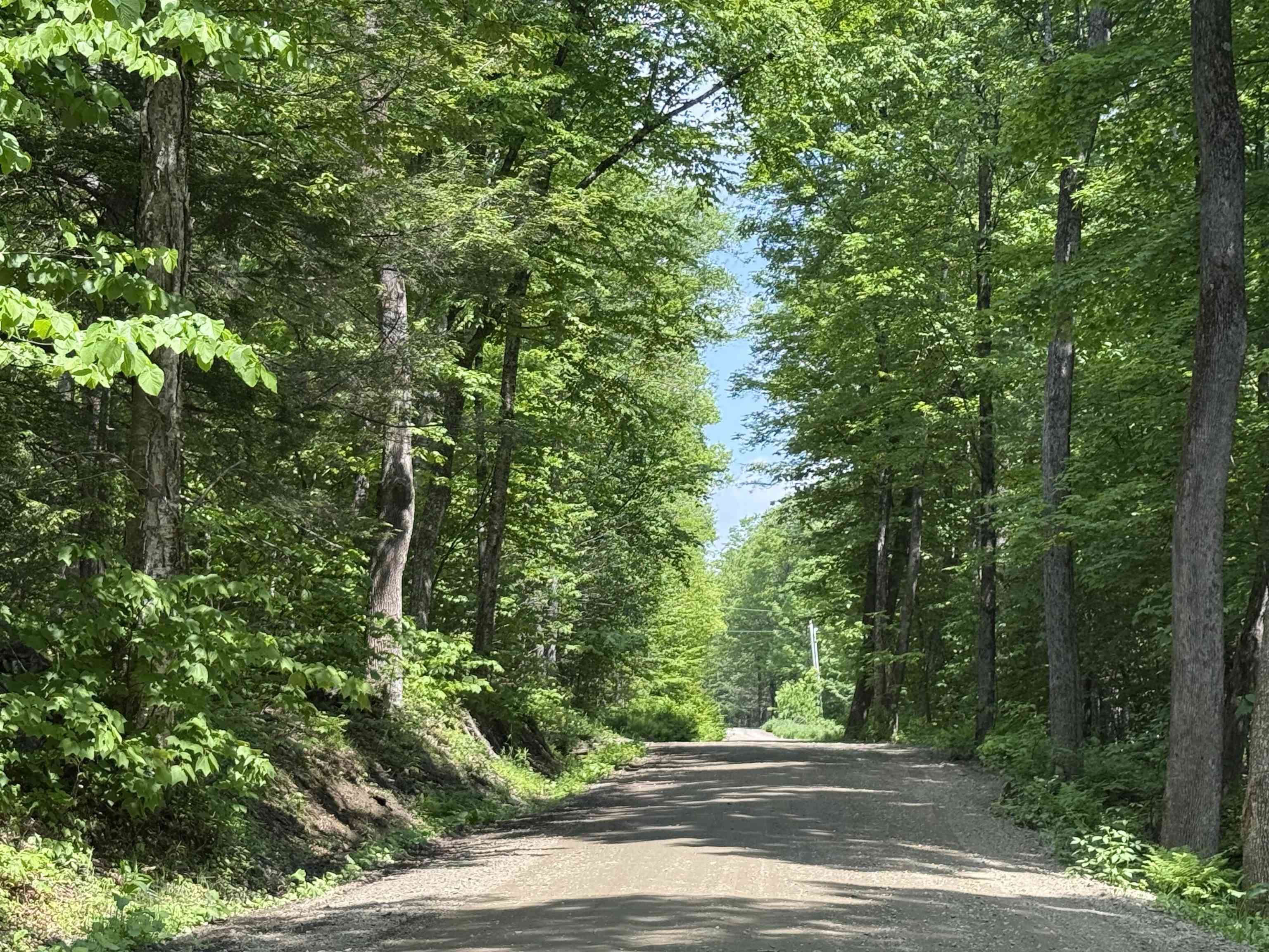 Homes for sale in Halifax, VT | 251 Phillips Hill Rd, Halifax, VT 05358 | MLS# 5045217