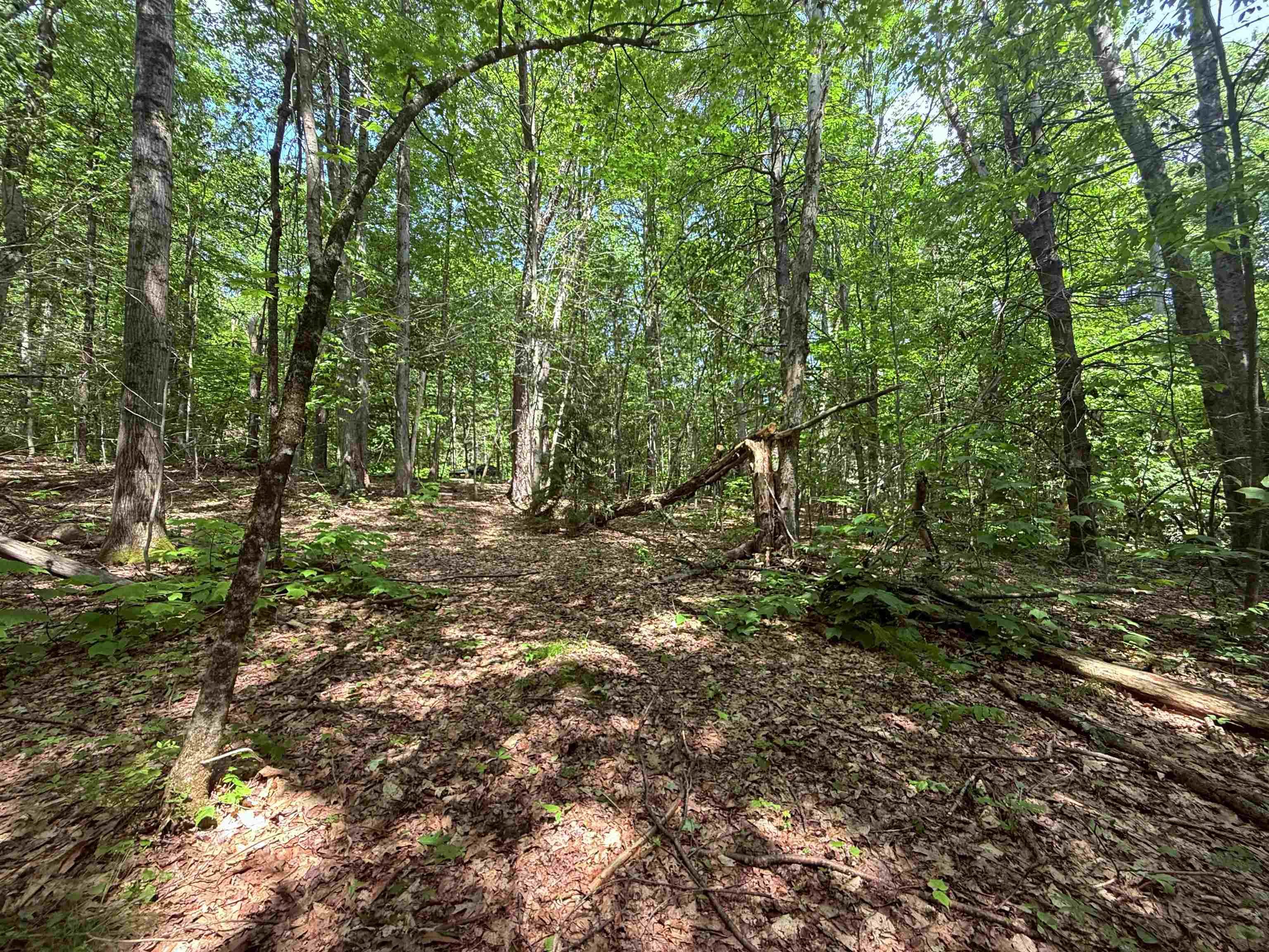 Homes for sale in Halifax, VT | 251 Phillips Hill Rd, Halifax, VT 05358 | MLS# 5045217