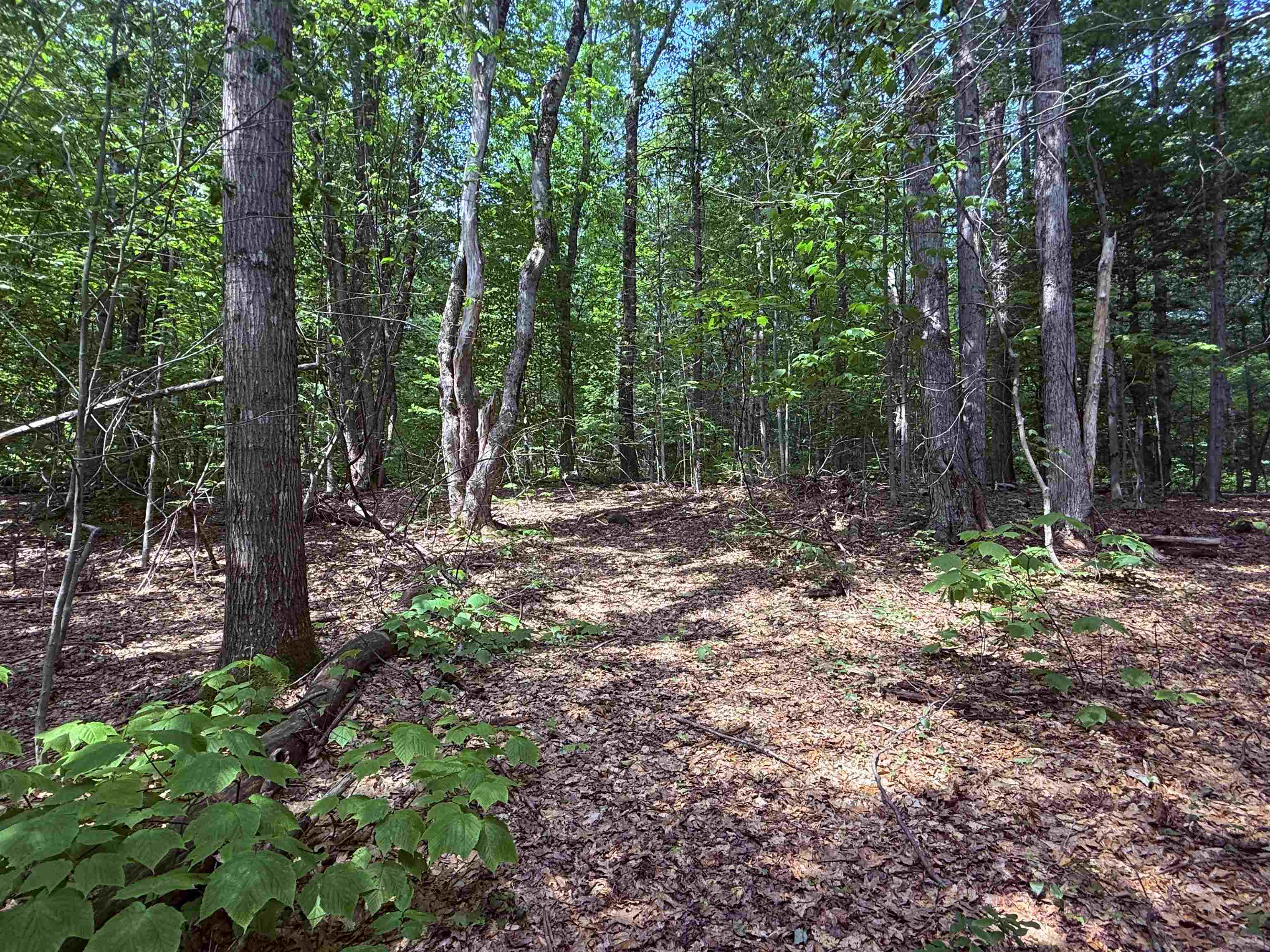 Homes for sale in Halifax, VT | 251 Phillips Hill Rd, Halifax, VT 05358 | MLS# 5045217