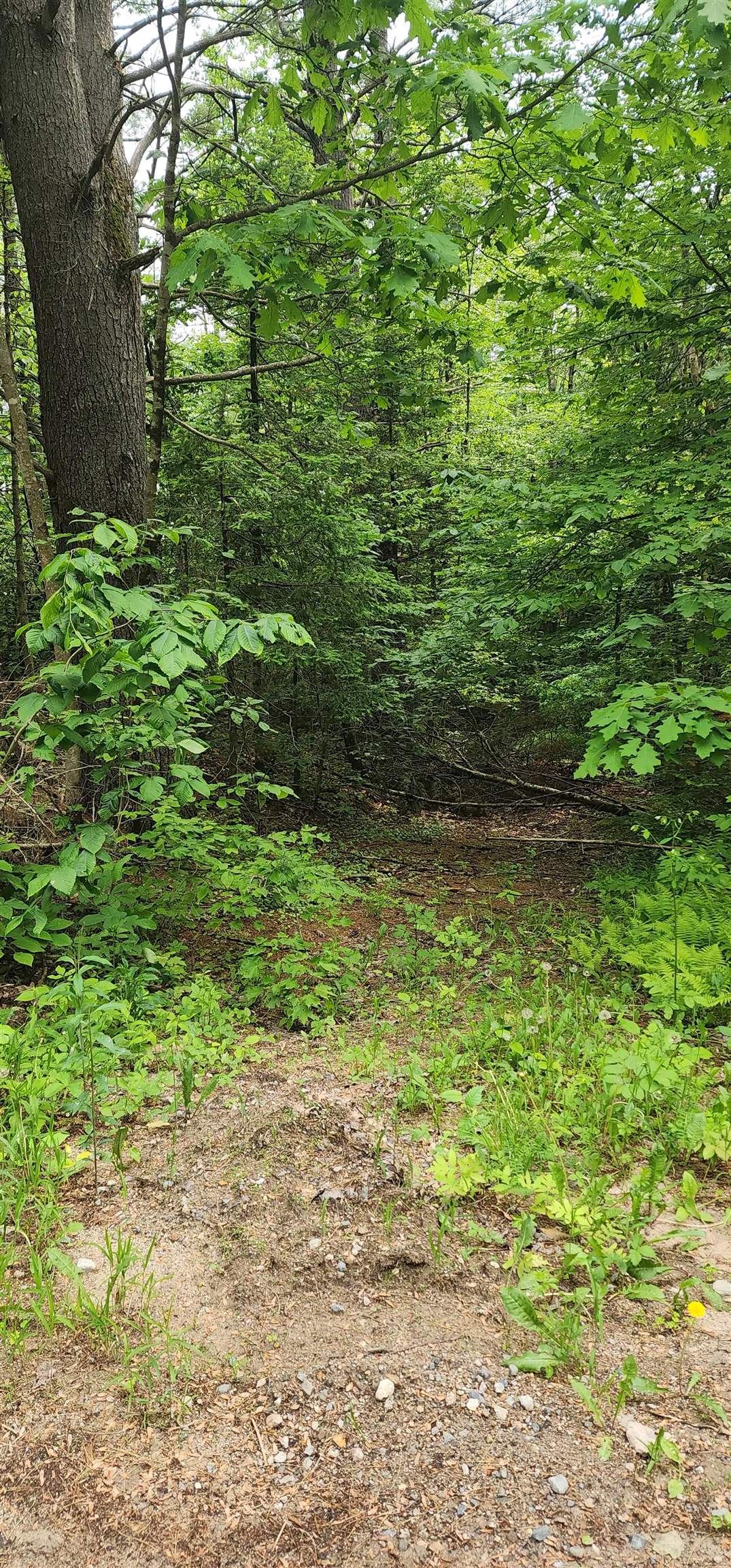 Homes for sale in Middleton, NH | Pine Ridge Rd, Middleton, NH 03887 | MLS# 5045240