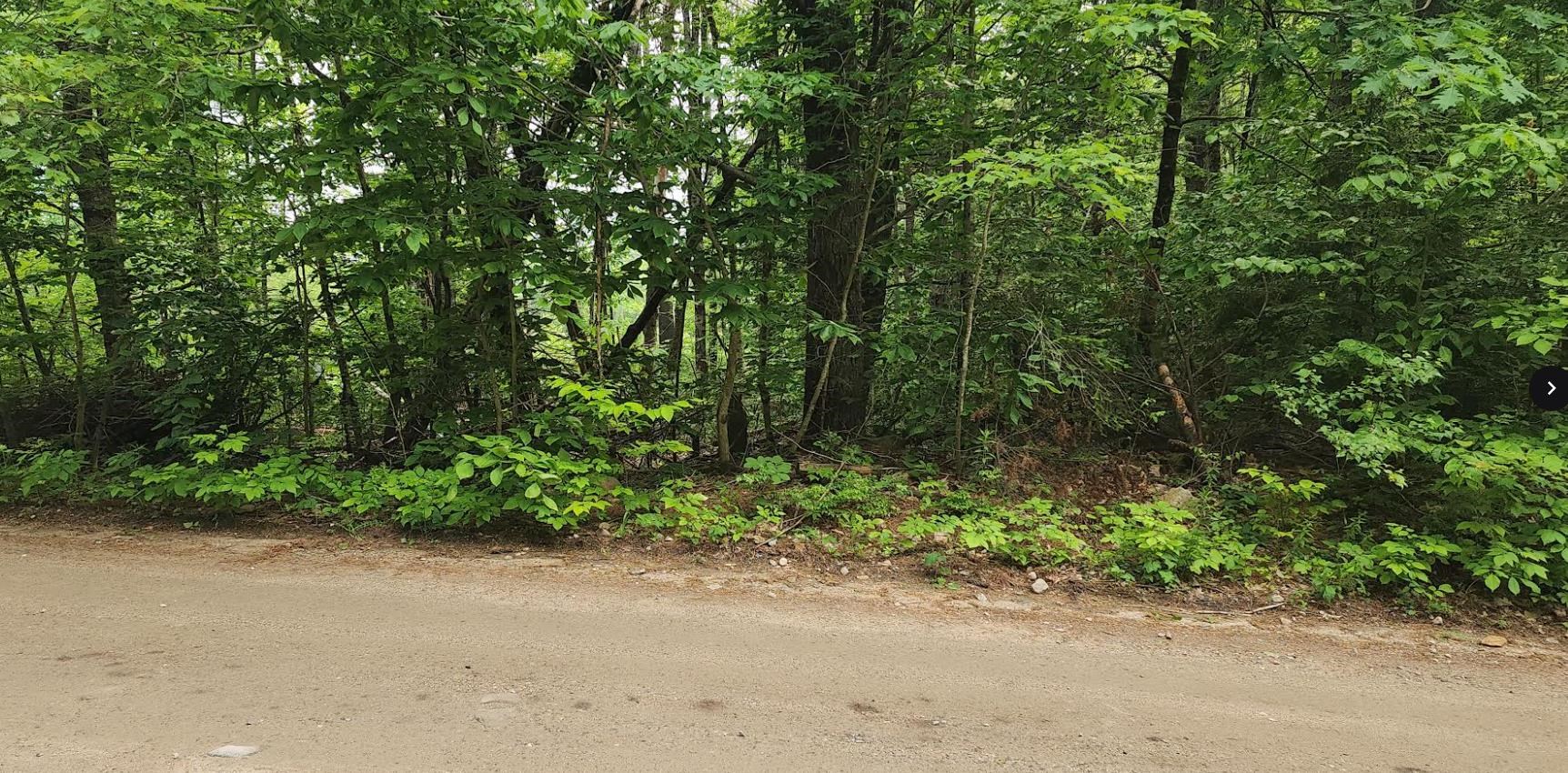 Homes for sale in Middleton, NH | Pine Ridge Rd, Middleton, NH 03887 | MLS# 5045240