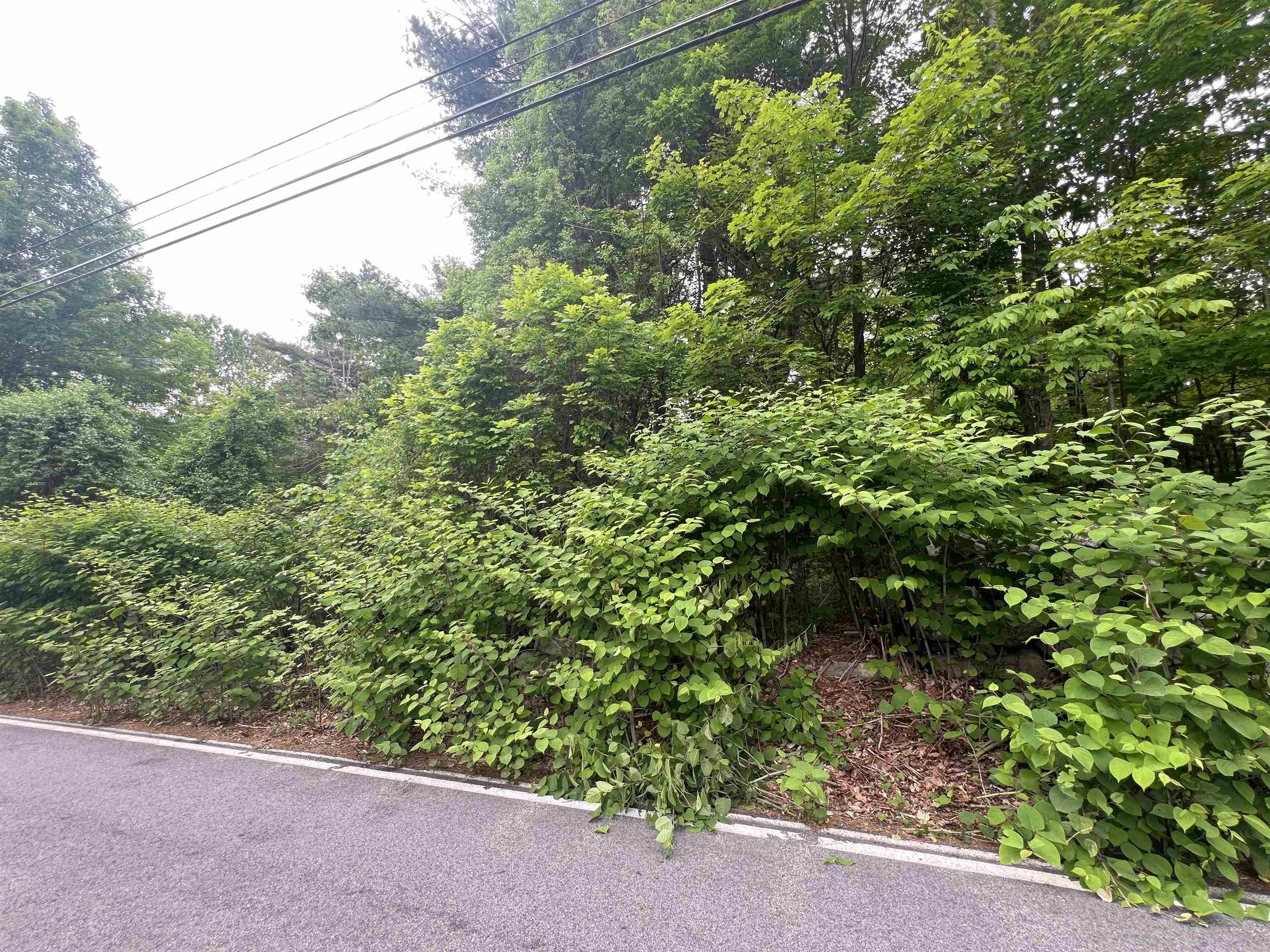 Homes for sale in Milford, NH | Ball Hill Rd, Milford, NH 03055 | MLS# 5045267