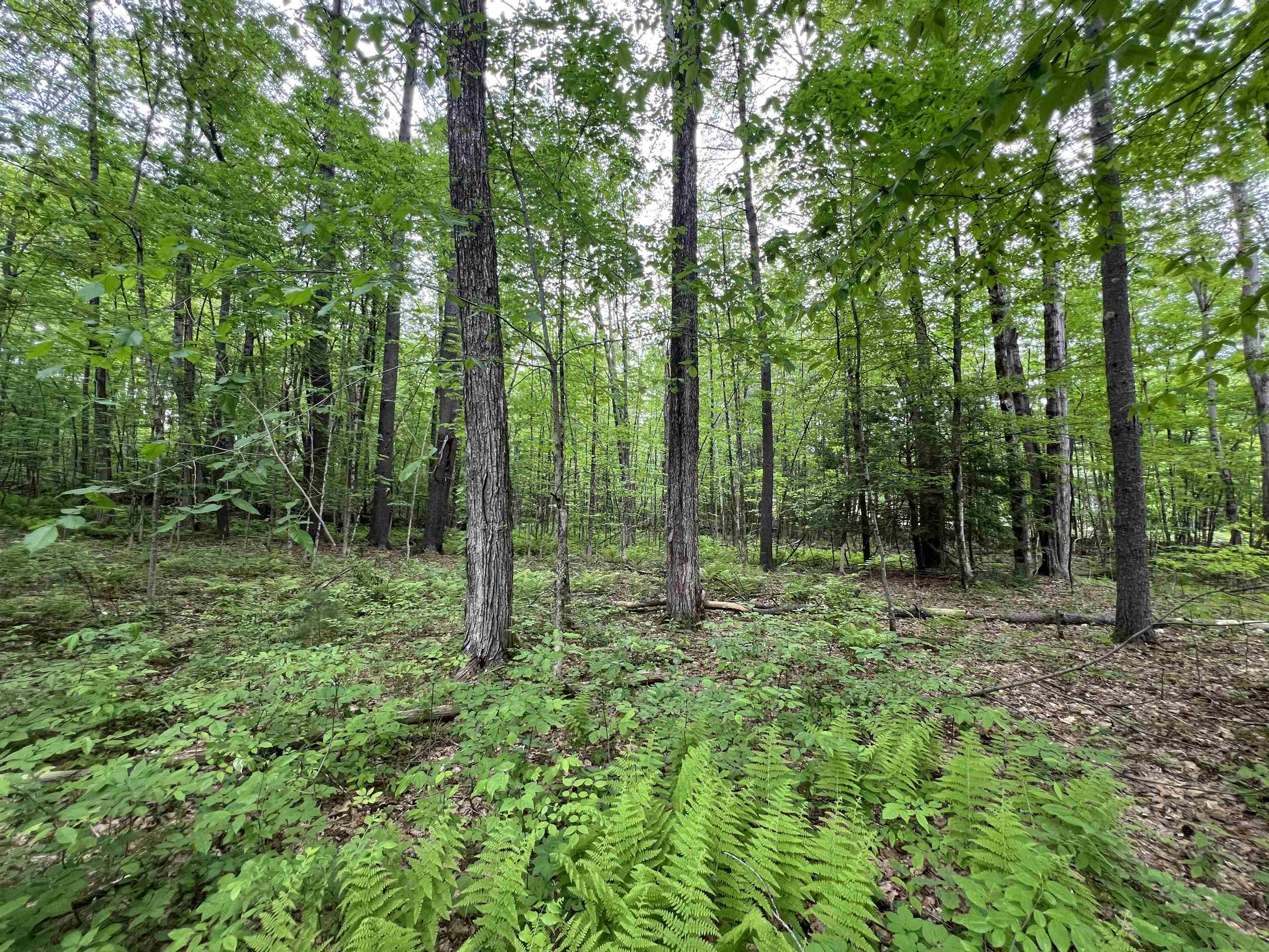 Homes for sale in Milford, NH | Ball Hill Rd, Milford, NH 03055 | MLS# 5045267