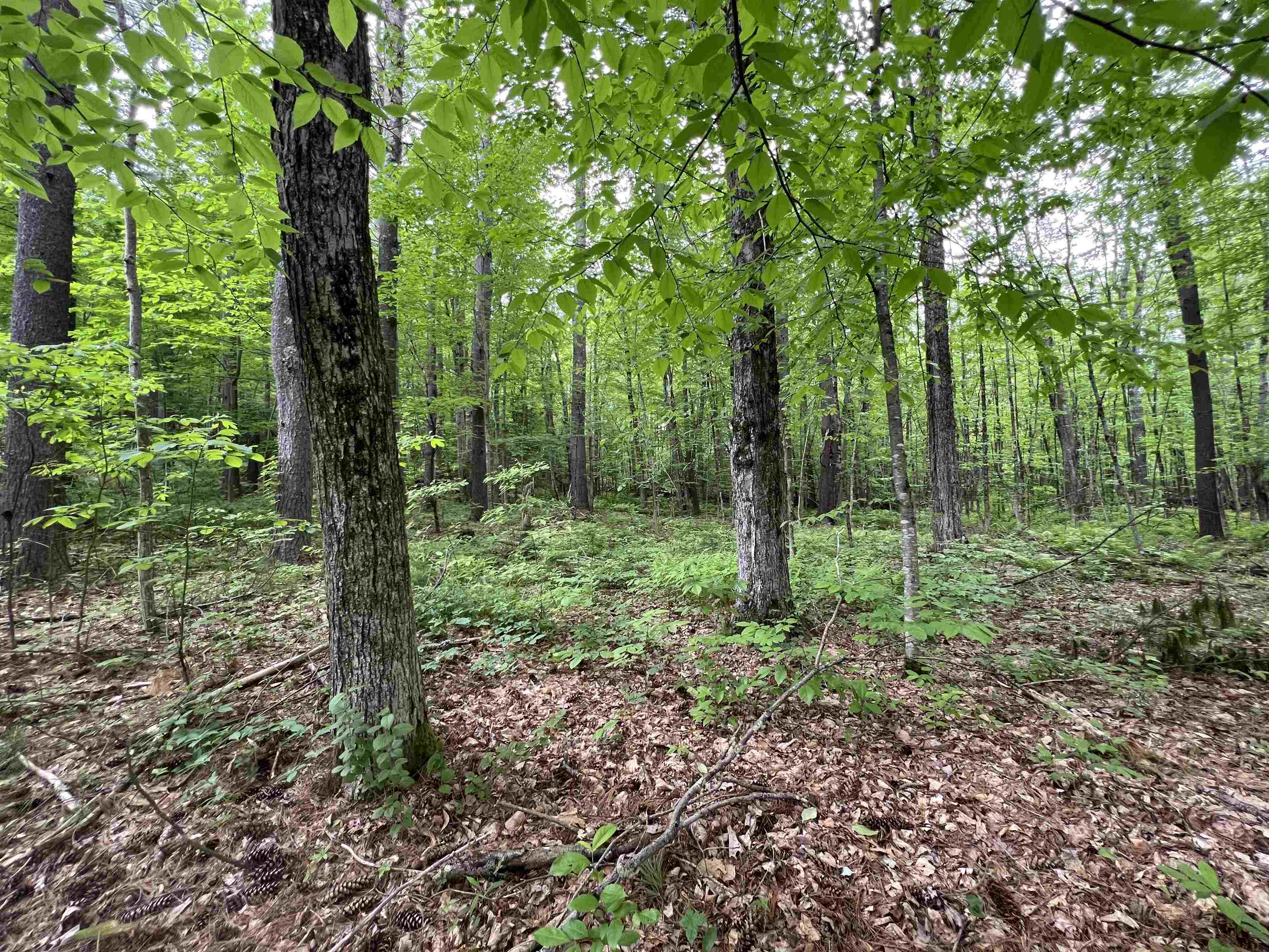 Homes for sale in Milford, NH | Ball Hill Rd, Milford, NH 03055 | MLS# 5045267