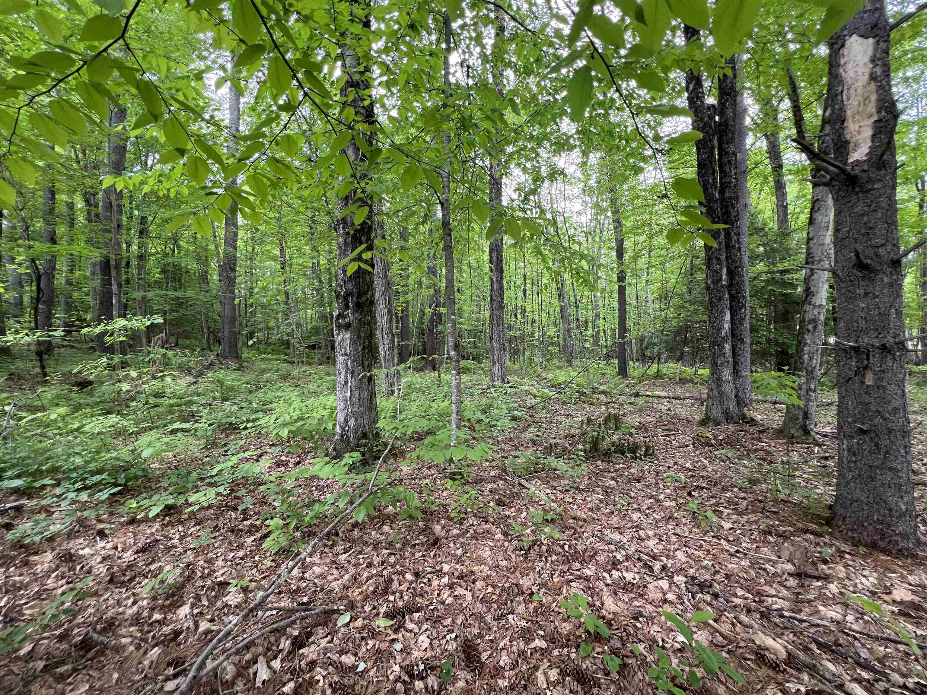 Homes for sale in Milford, NH | Ball Hill Rd, Milford, NH 03055 | MLS# 5045267