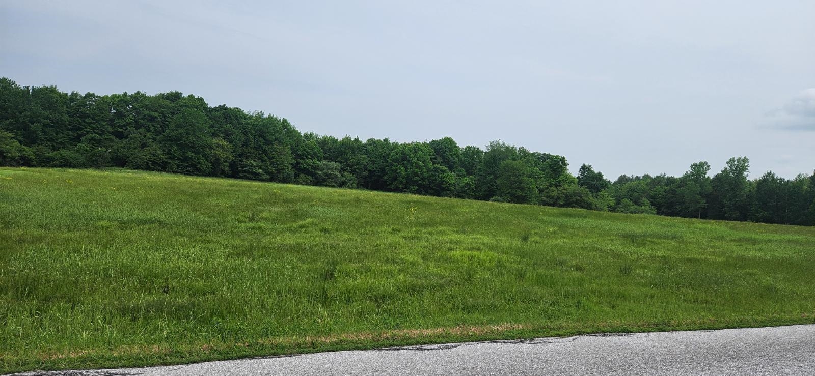 Homes for sale in Fairfield, VT | 2051 Sheldon Woods Rd, Fairfield, VT 05455 | MLS# 5045280