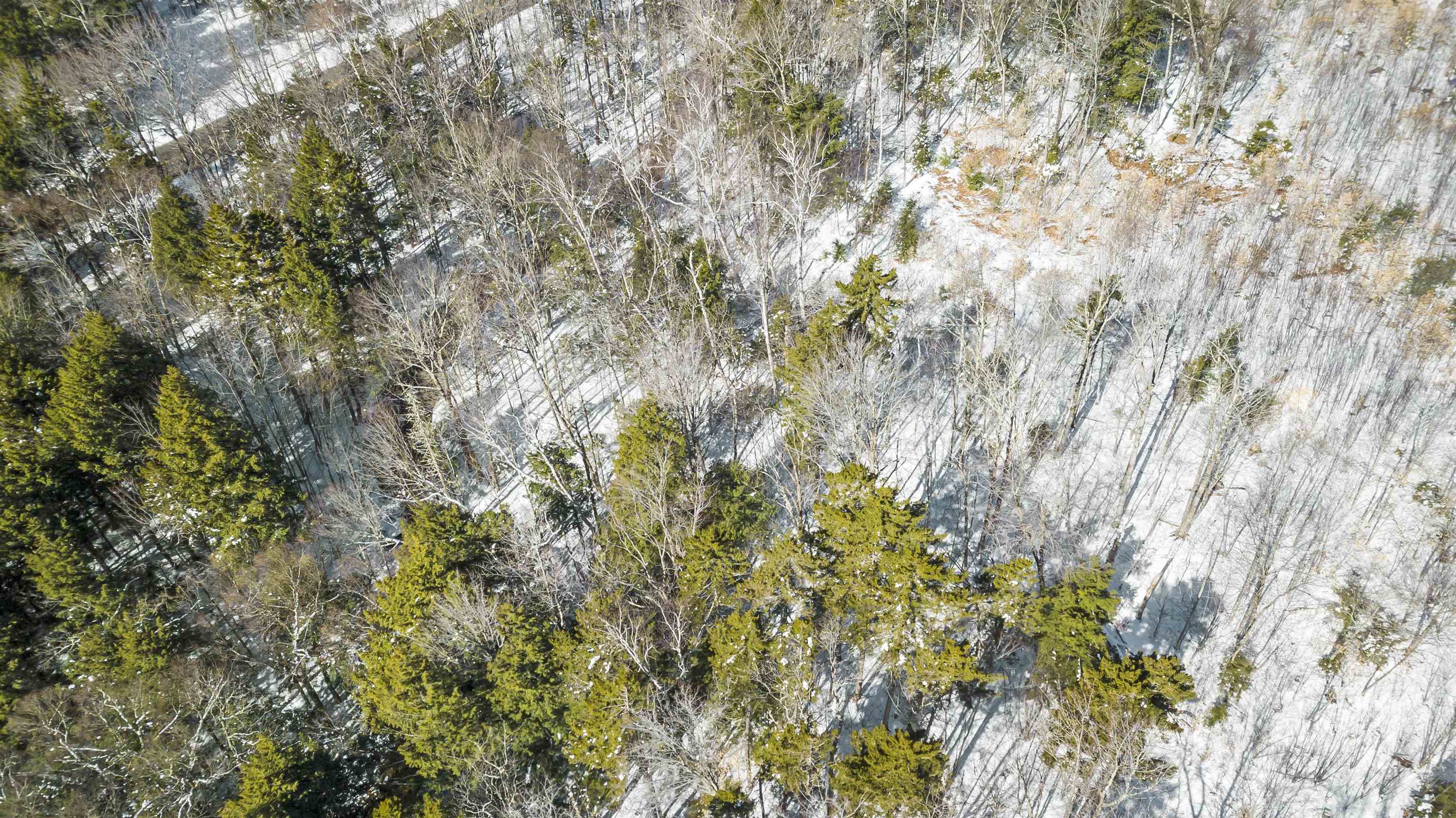 Homes for sale in Stratton, VT | 2 Gold Medal Cir, Stratton, VT 05155 | MLS# 5045312