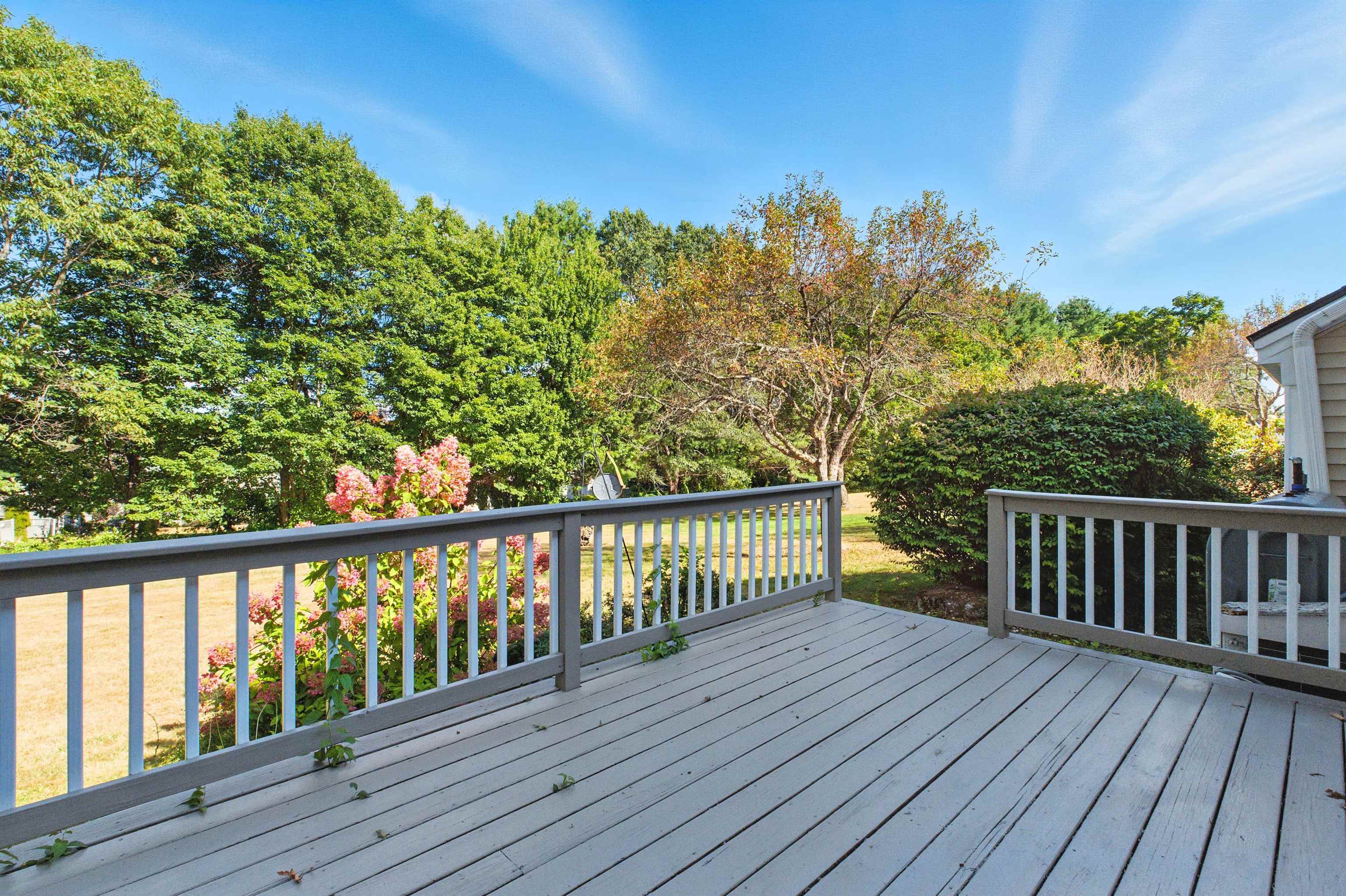 MLS #5045477 image #52