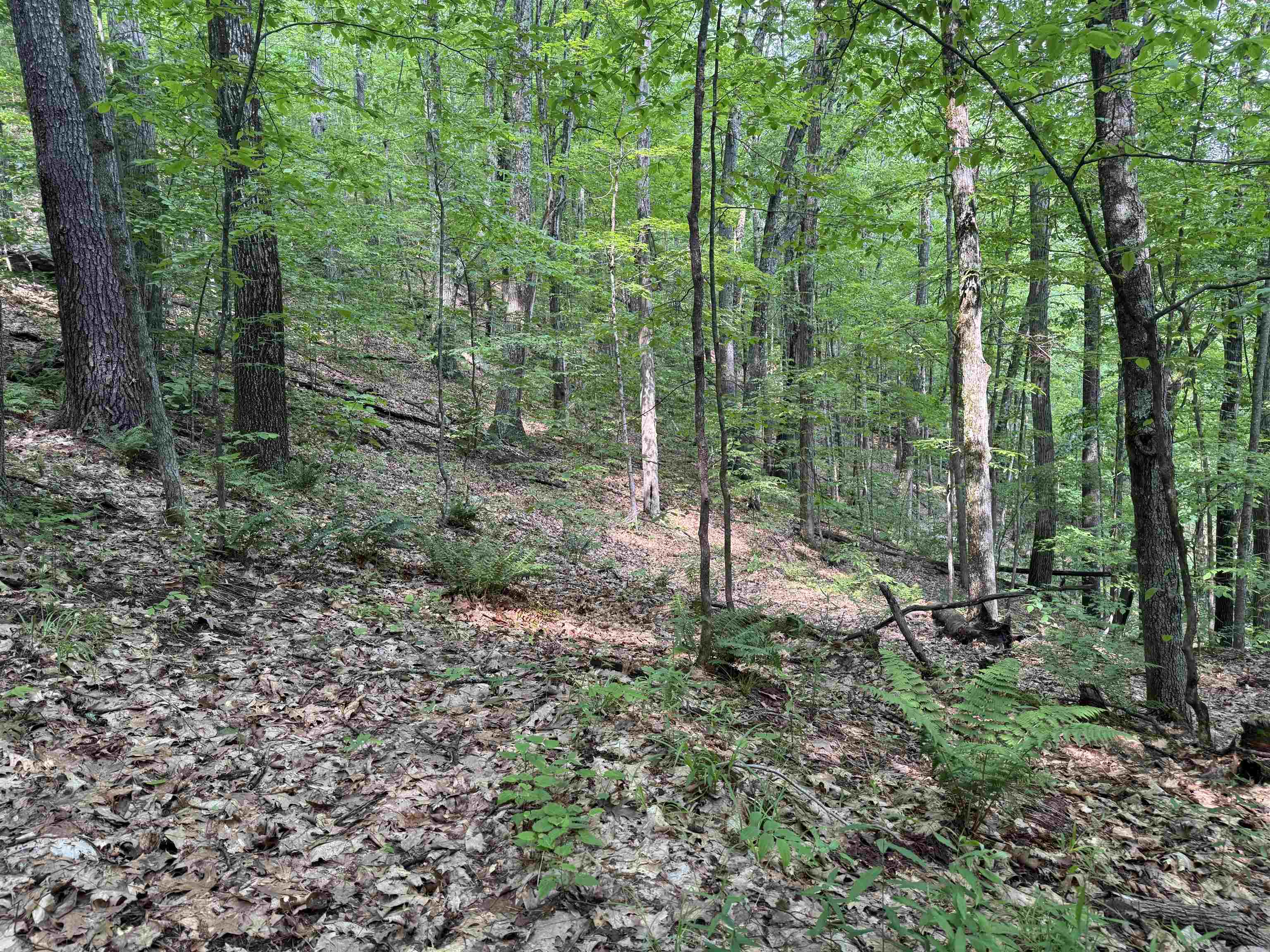 Homes for sale in Townshend, VT | 0 Ober Hill Rd, Townshend, VT 05353 | MLS# 5045480