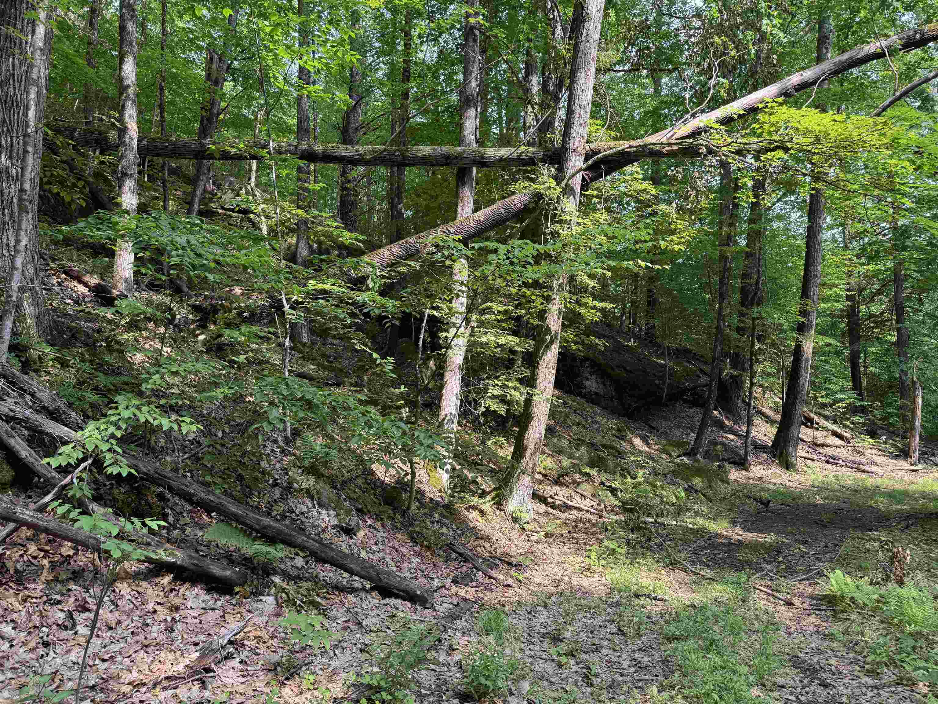 Homes for sale in Townshend, VT | 0 Ober Hill Rd, Townshend, VT 05353 | MLS# 5045480