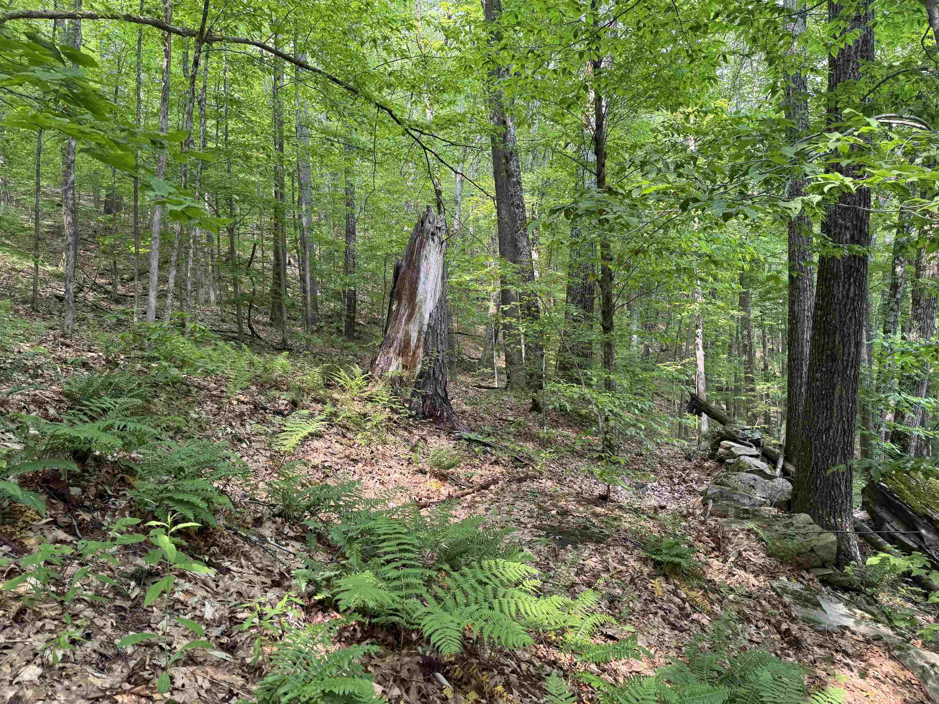 Homes for sale in Townshend, VT | 0 Ober Hill Rd, Townshend, VT 05353 | MLS# 5045480