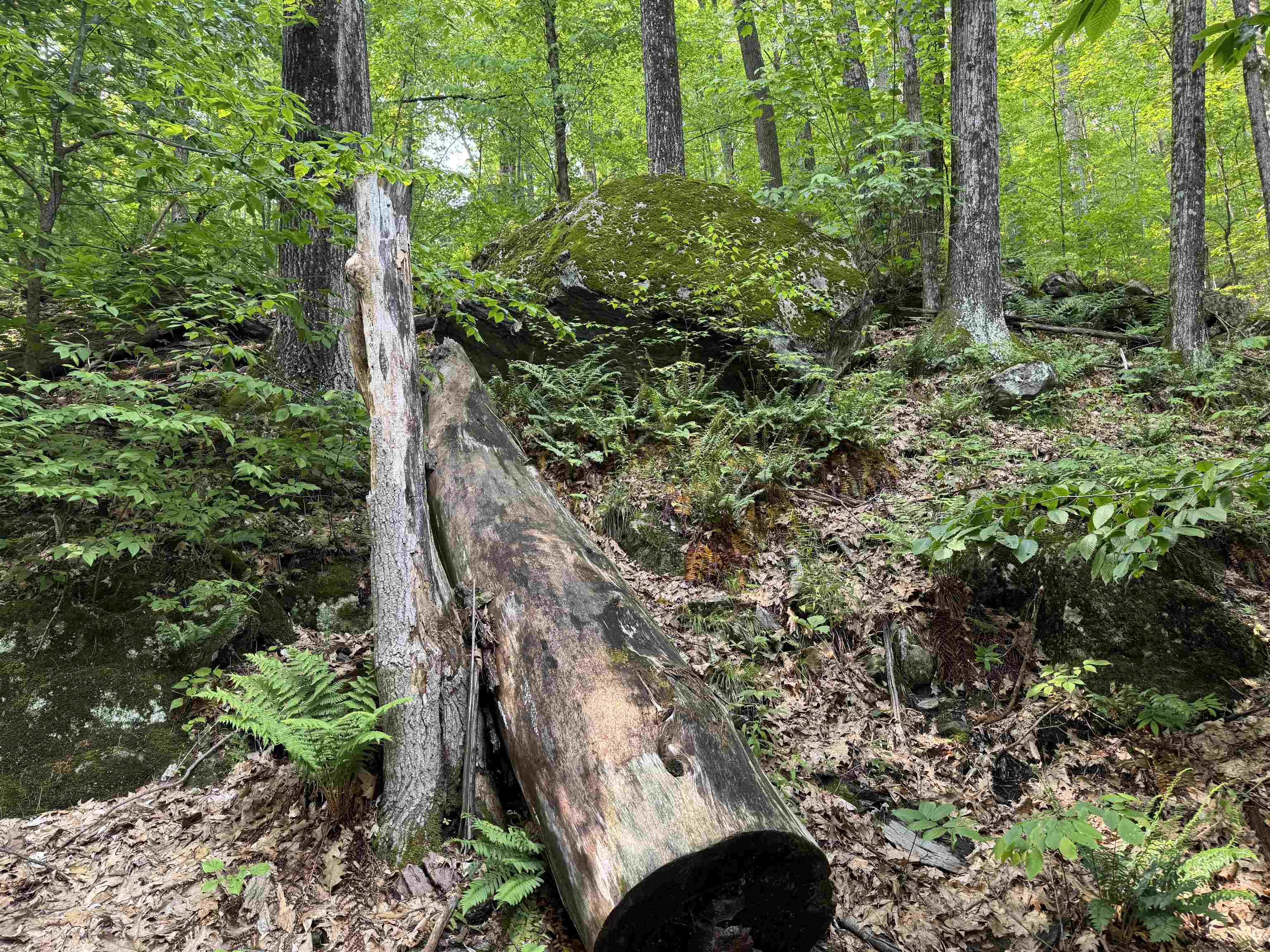 Homes for sale in Townshend, VT | 0 Ober Hill Rd, Townshend, VT 05353 | MLS# 5045480