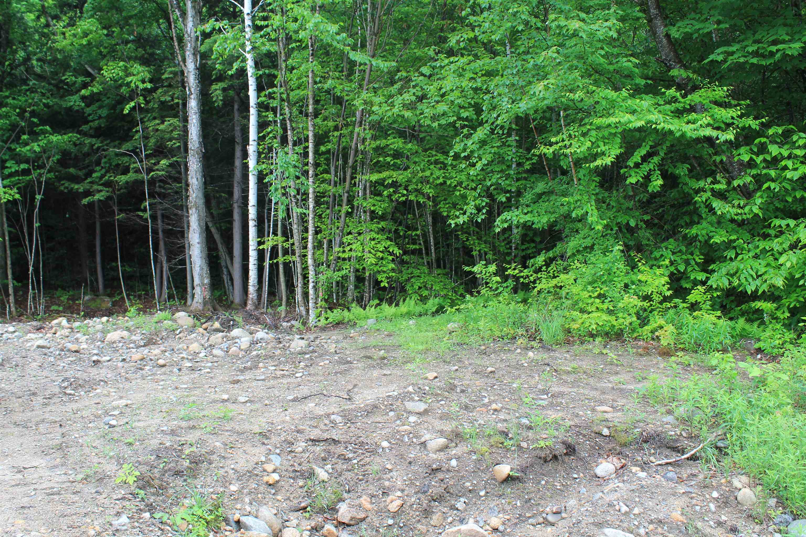 MLS #5045608 image #10