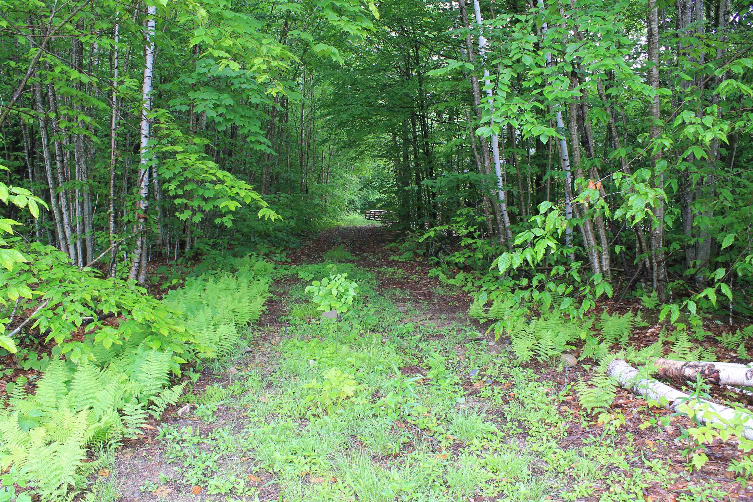 MLS #5045608 image #12