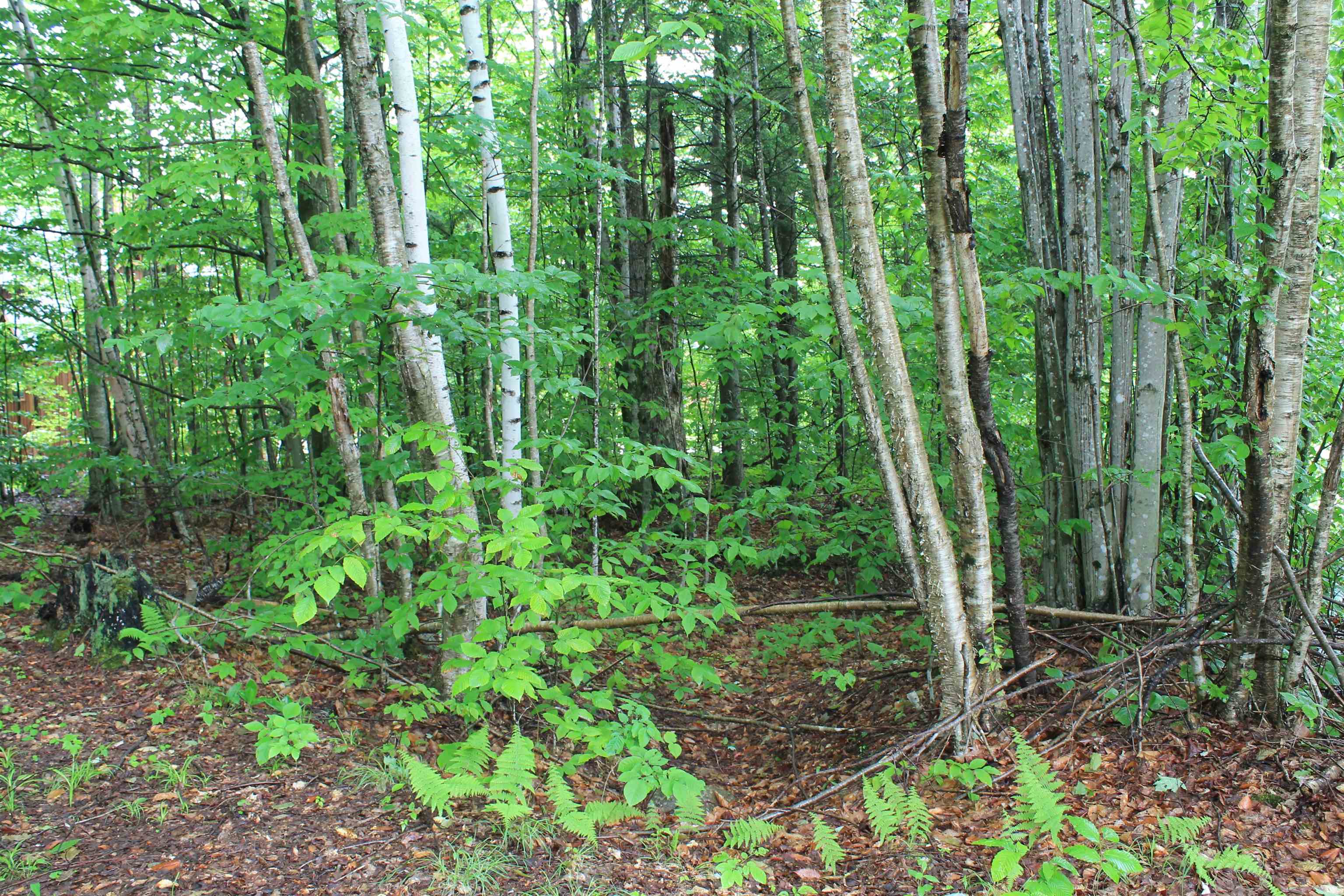 MLS #5045608 image #13