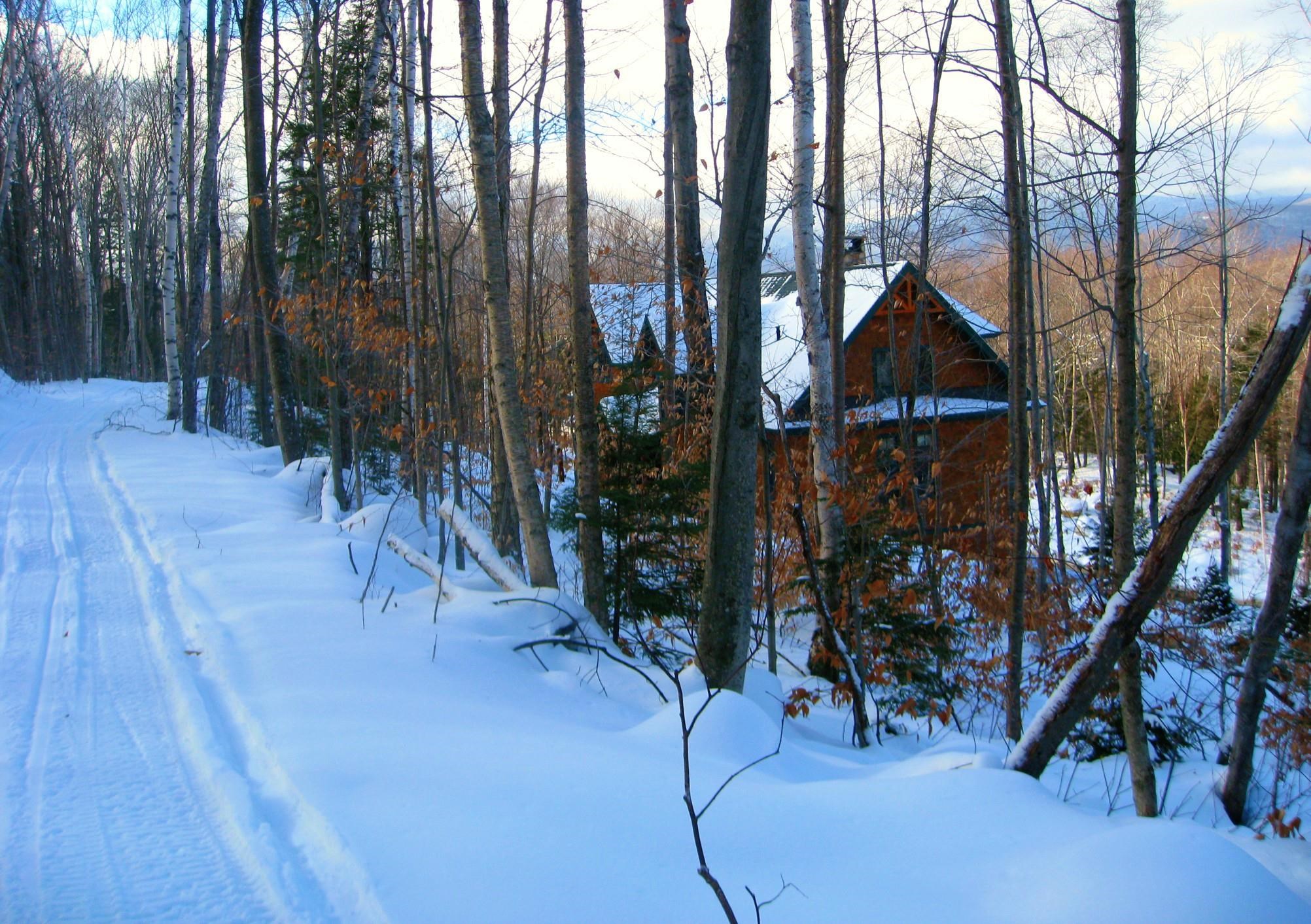 MLS #5045608 image #9