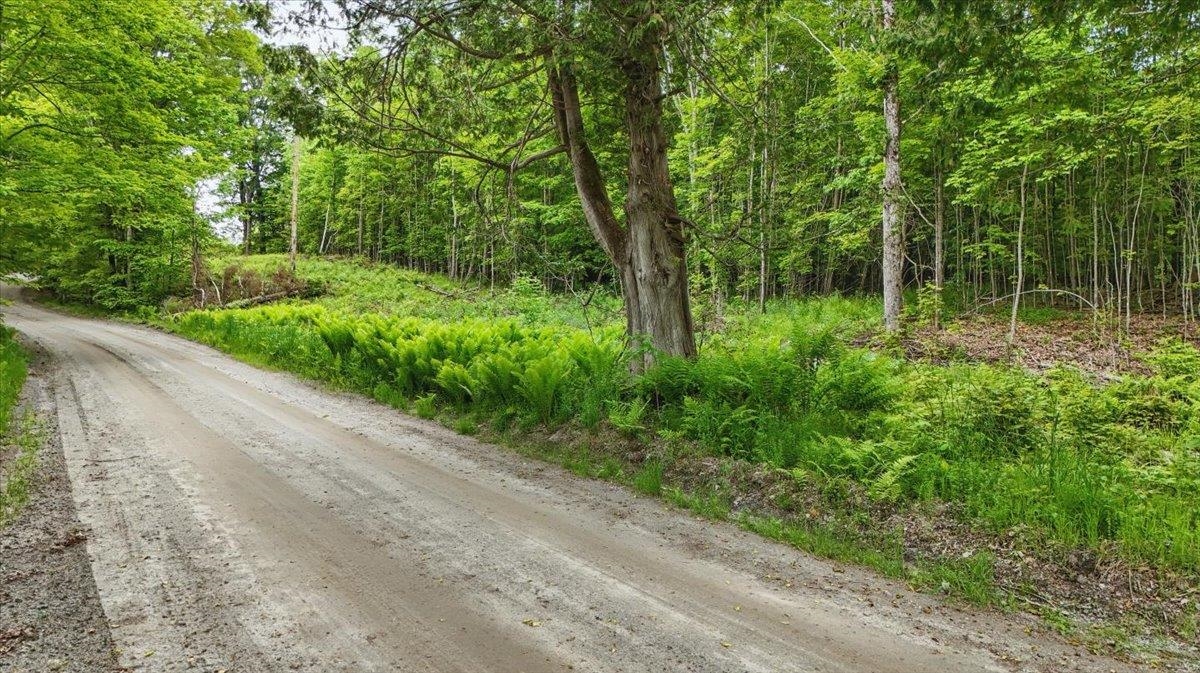 Homes for sale in Plainfield, VT | Tbd Lot 1 Woodcock Rd, Plainfield, VT 05667 | MLS# 5045623