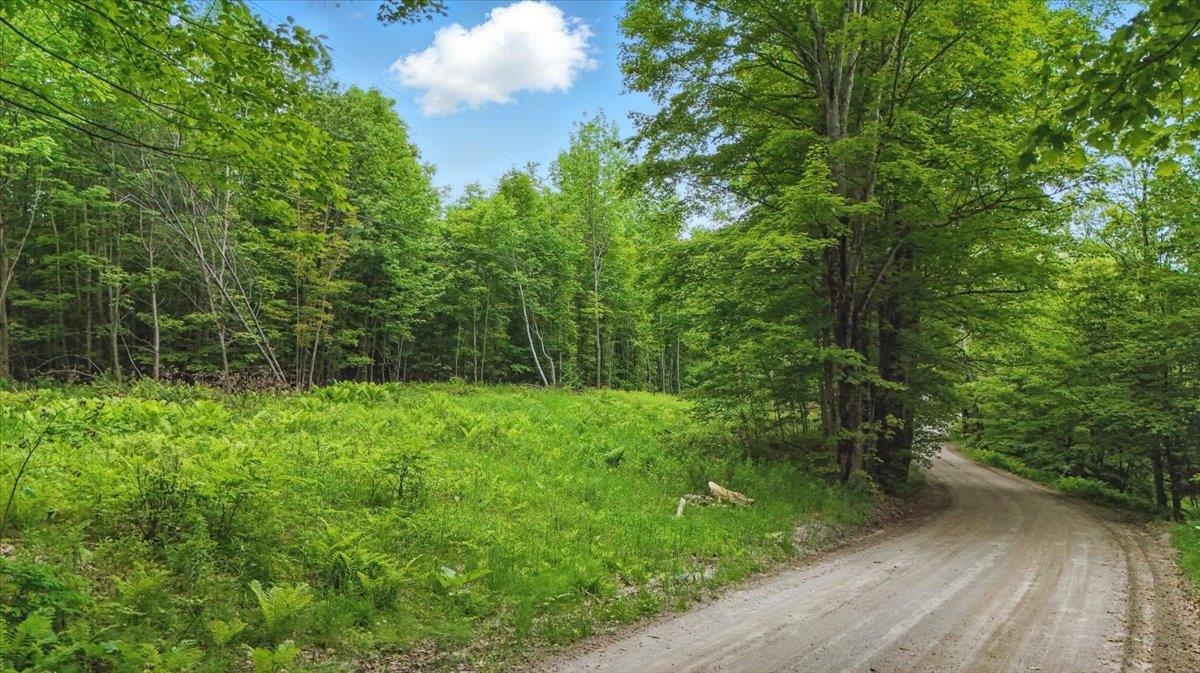 Homes for sale in Plainfield, VT | Tbd Lot 1 Woodcock Rd, Plainfield, VT 05667 | MLS# 5045623