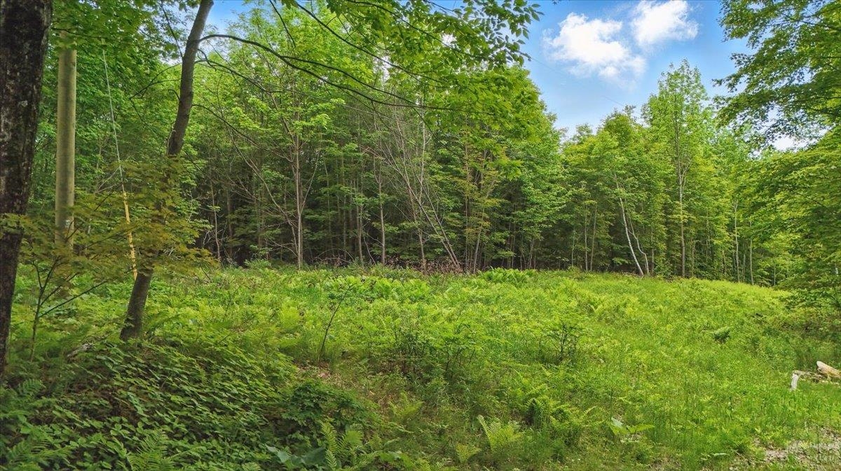 Homes for sale in Plainfield, VT | Tbd Lot 1 Woodcock Rd, Plainfield, VT 05667 | MLS# 5045623