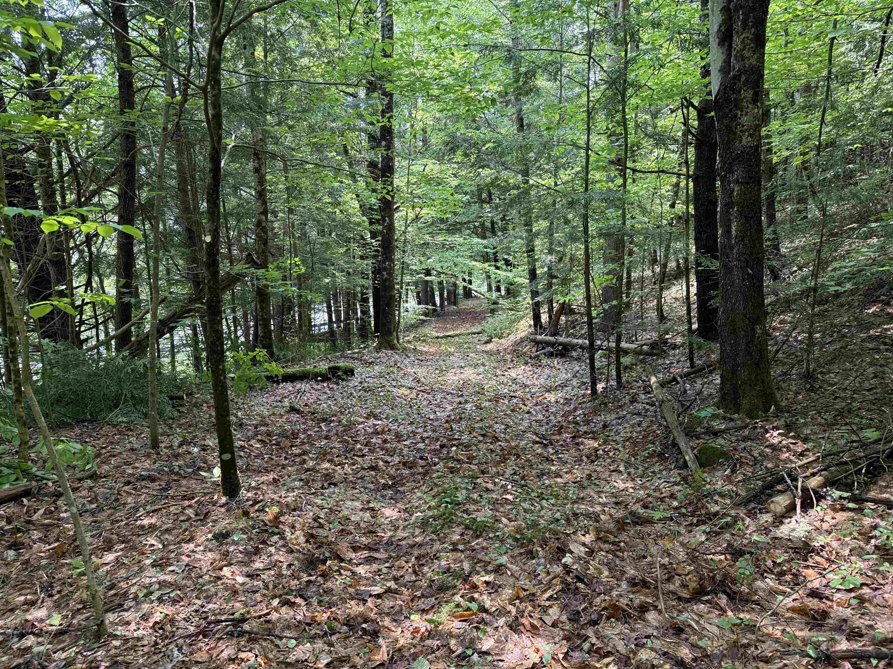 Cornish NH Land for sale $125,000 | 25 Acres  | Price Per Acre $0 