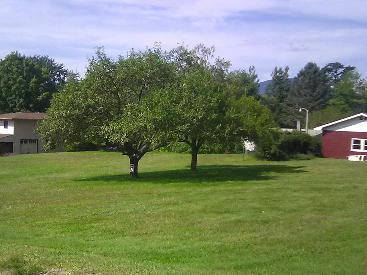 Homes for sale in Morristown, VT | 145 Langdell Rd, Morristown, VT 05661 | MLS# 5045679