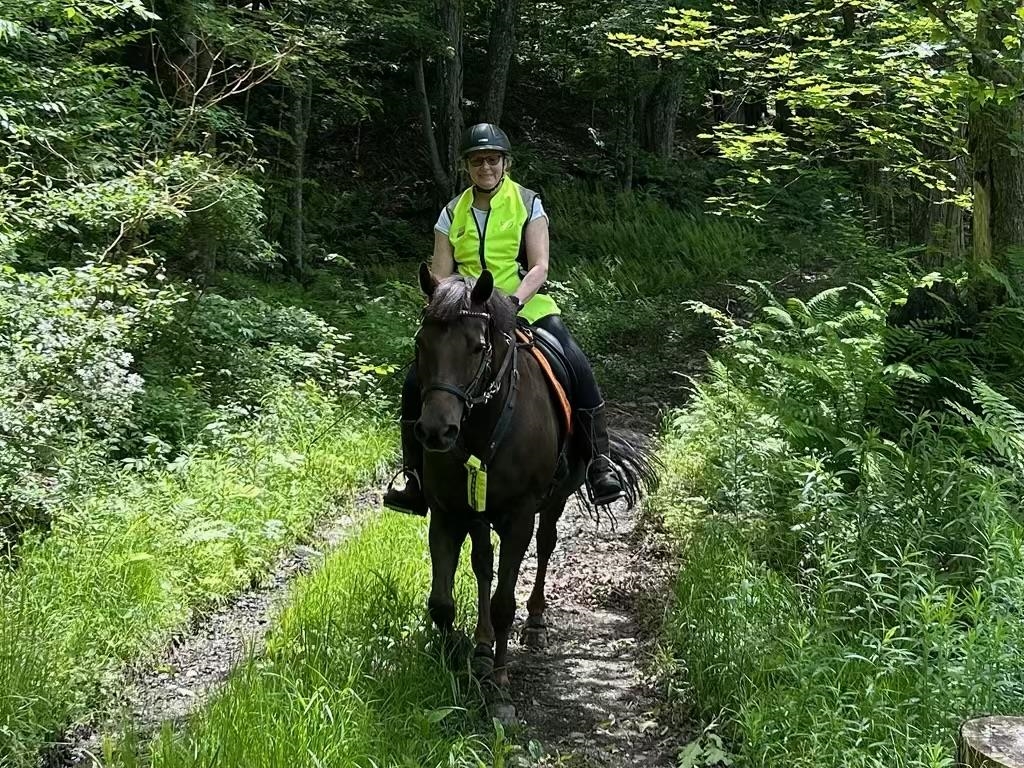 Trail on W Rowe Hill aside E boundary of property