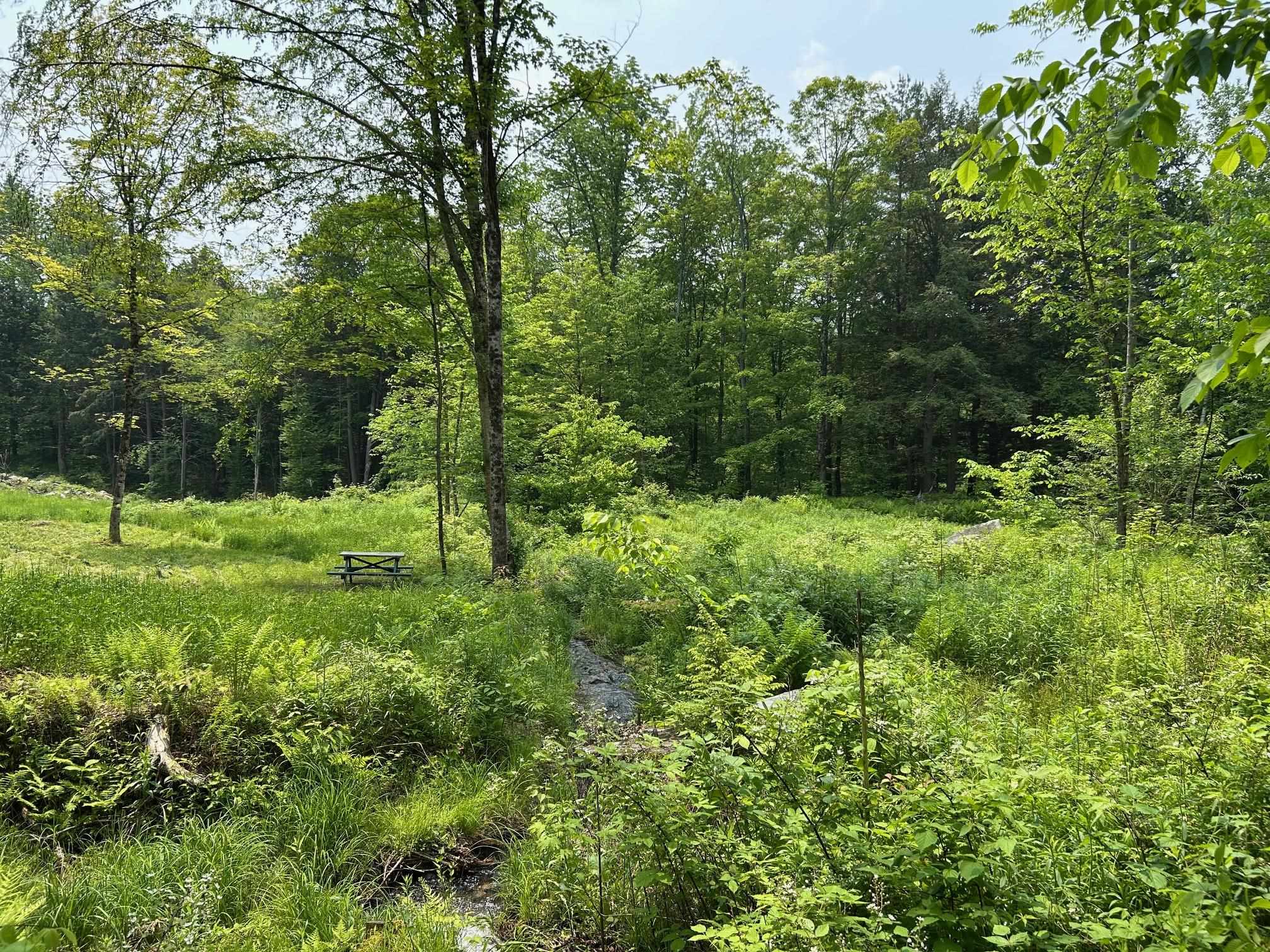 Tranguil picnic spot.