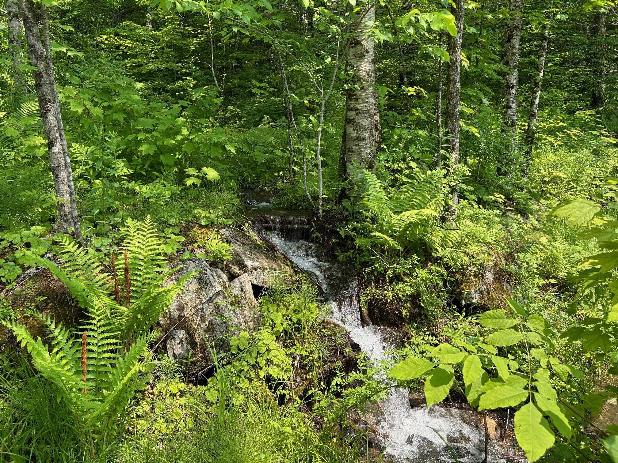 Listen to the babbling brook.