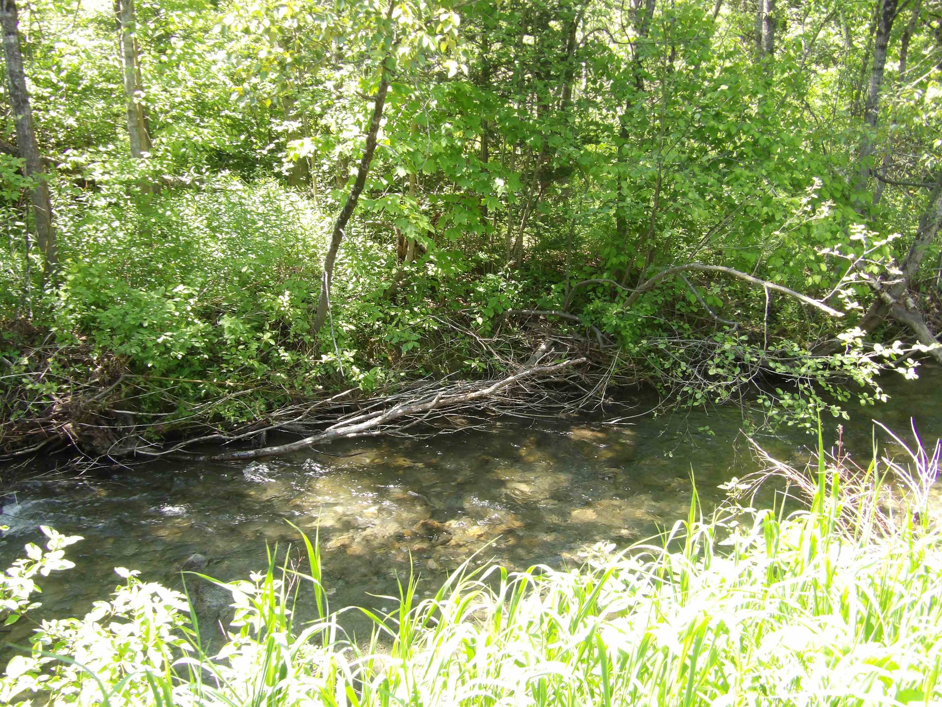 Homes for sale in Washington, VT | 338 West Corinth Rd, Washington, VT 05675 | MLS# 5045851