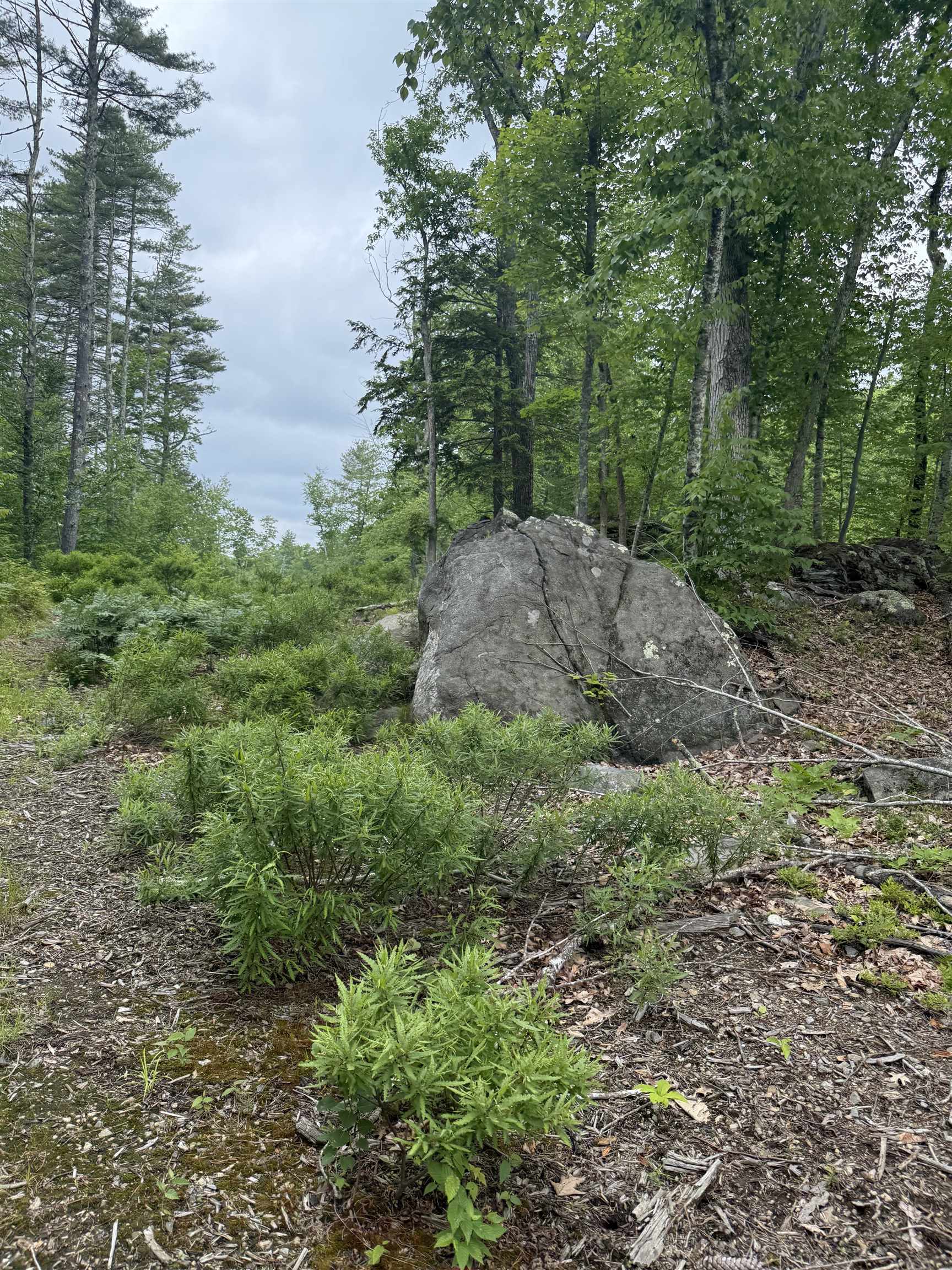 Homes for sale in Barrington, NH | 217-13 Washington St, Barrington, NH 03825 | MLS# 5045876